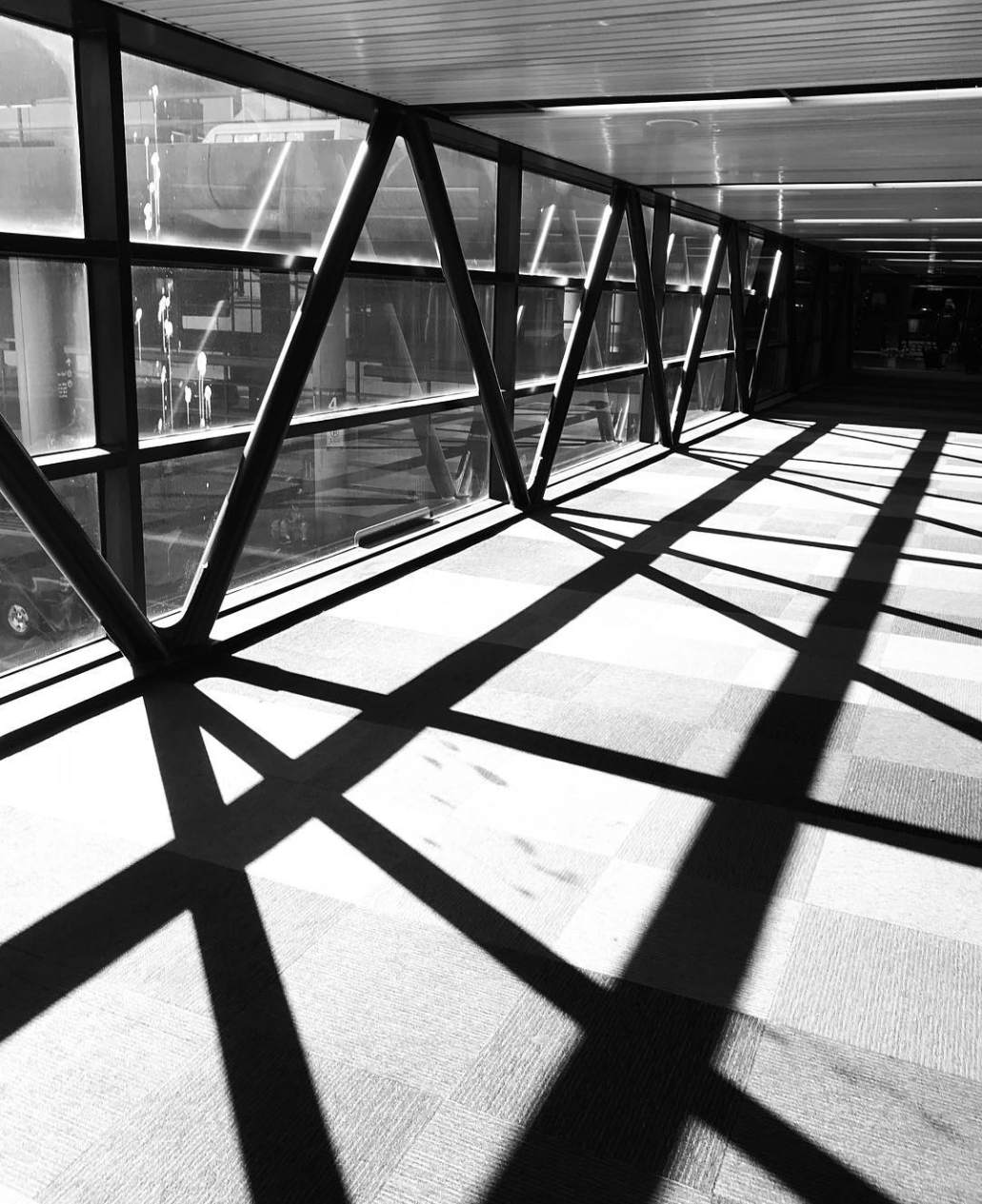 Screen Shot 2019-01-28 at 8.50.55 PM.png