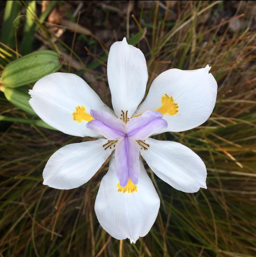 Screen Shot 2019-01-28 at 8.55.28 PM.png