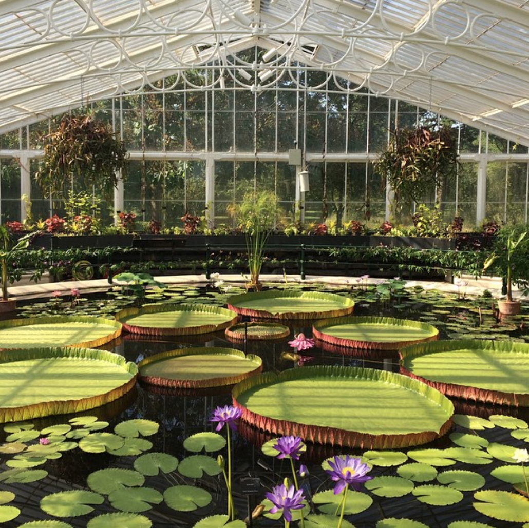 Screen Shot 2019-01-28 at 9.01.53 PM.png