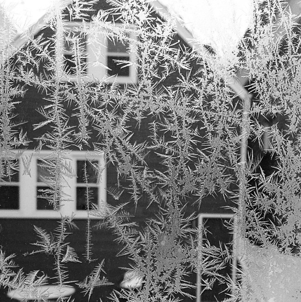 Screen Shot 2019-01-28 at 9.04.37 PM.png