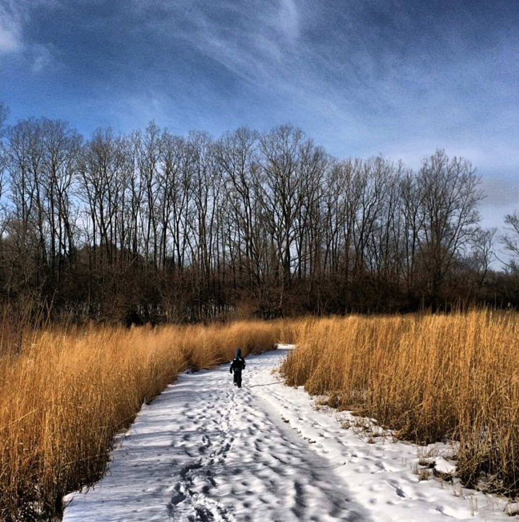 Screen Shot 2019-01-28 at 9.16.33 PM.png