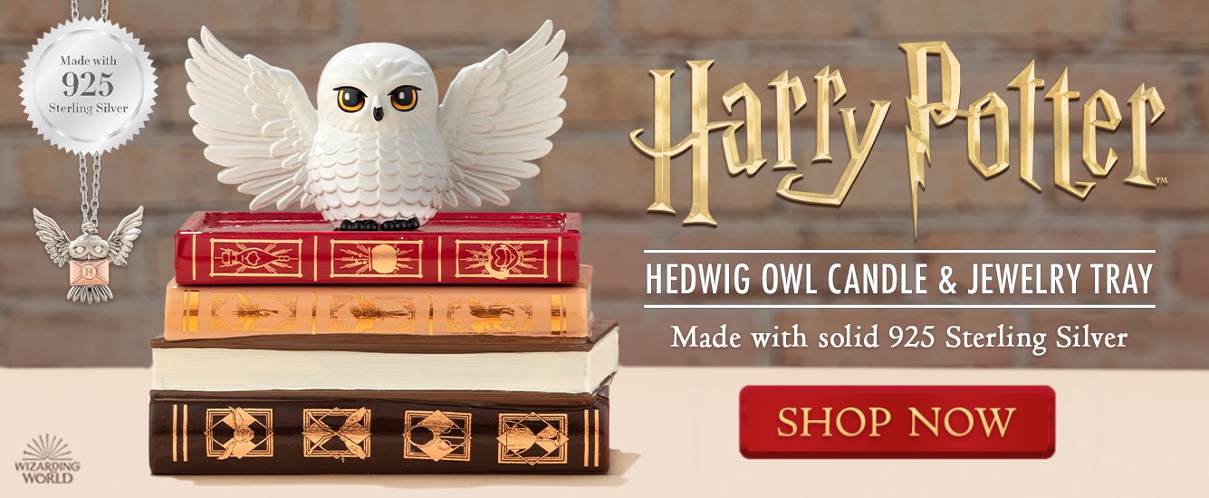 Banner-HedwigCandle_2022-launch.jpg