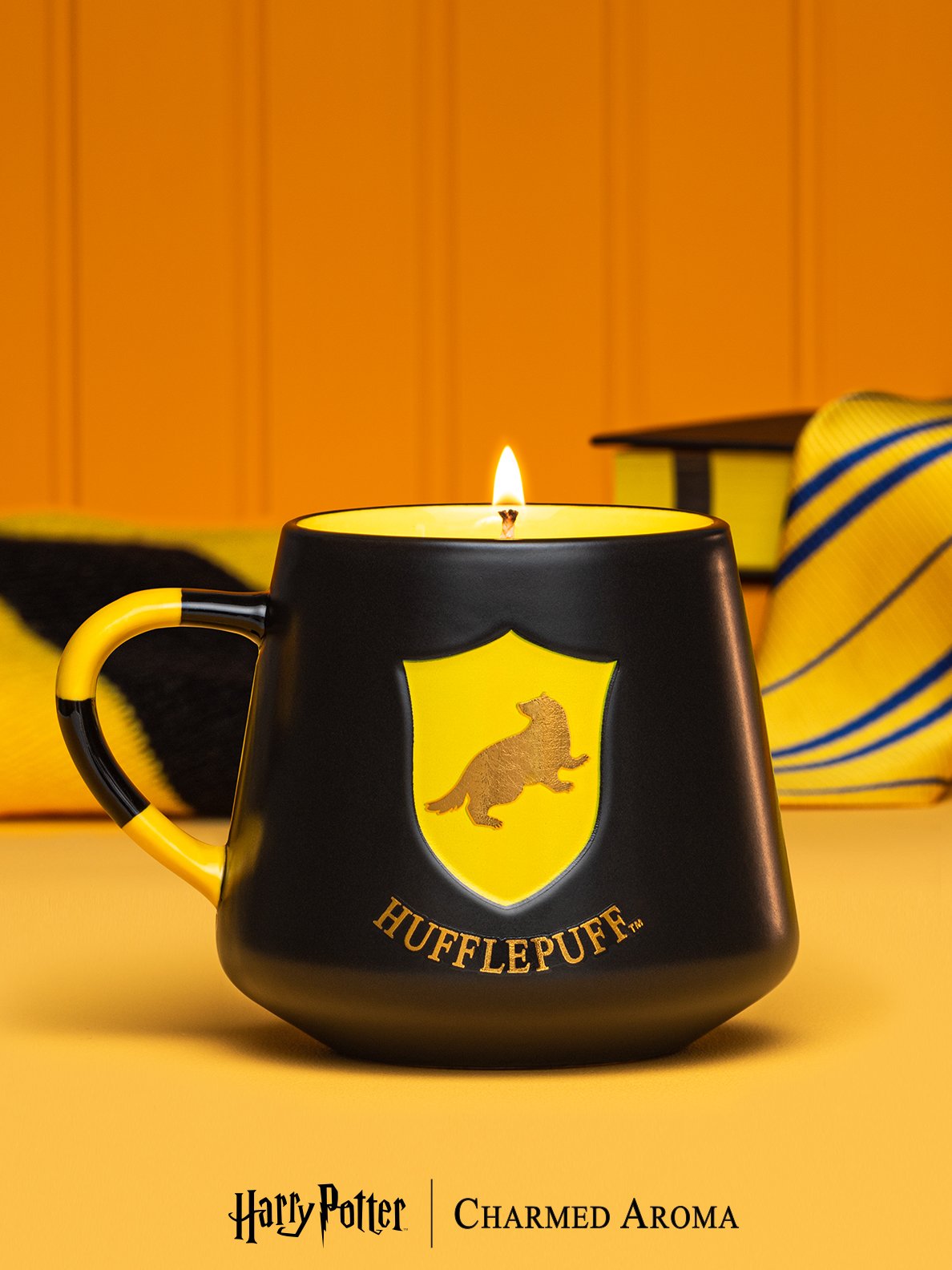 HP-Hufflepuff-Mug_Web-2022-1.jpg