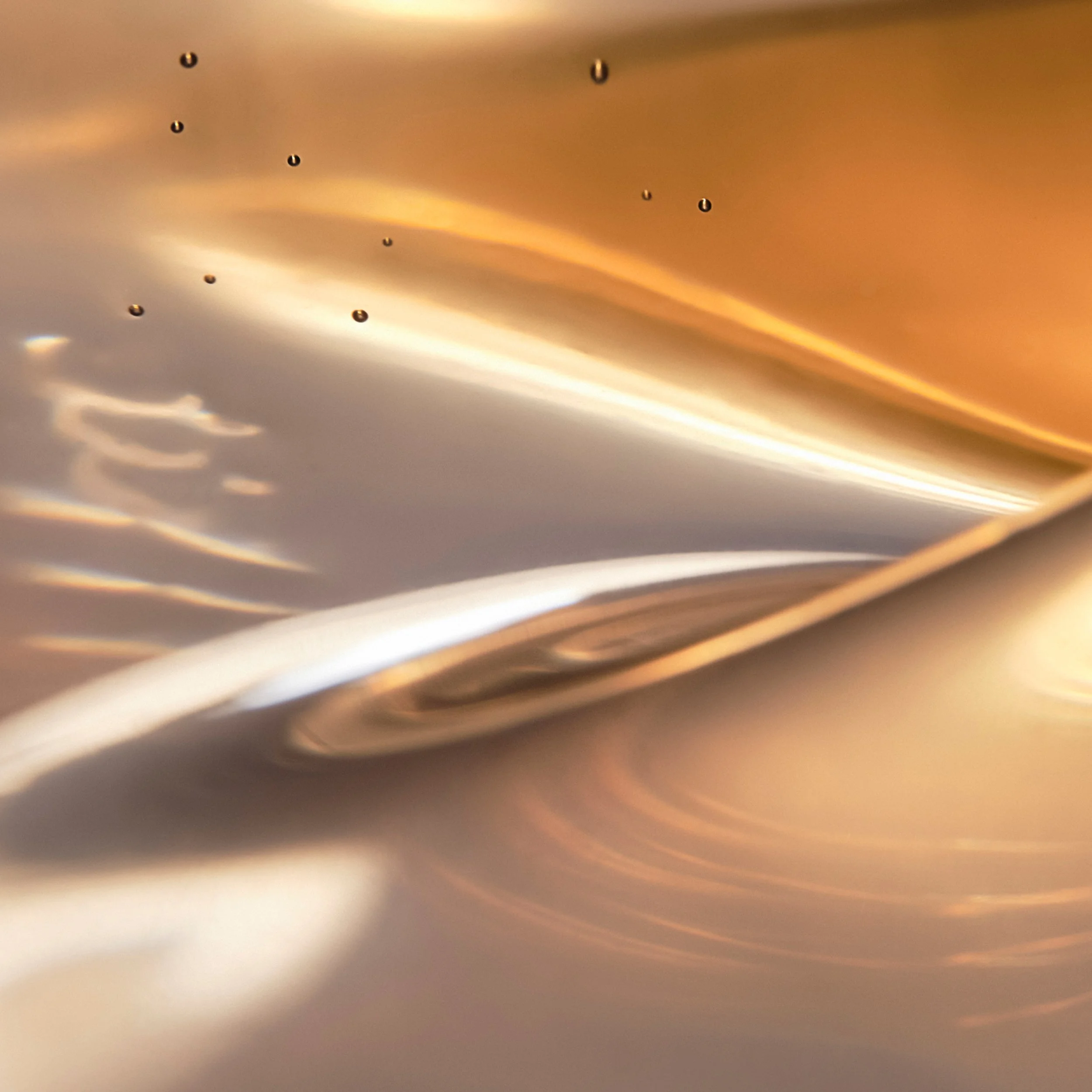 ORD-Virtual-Background-Alp-Arb-2pct-EY copy.jpg