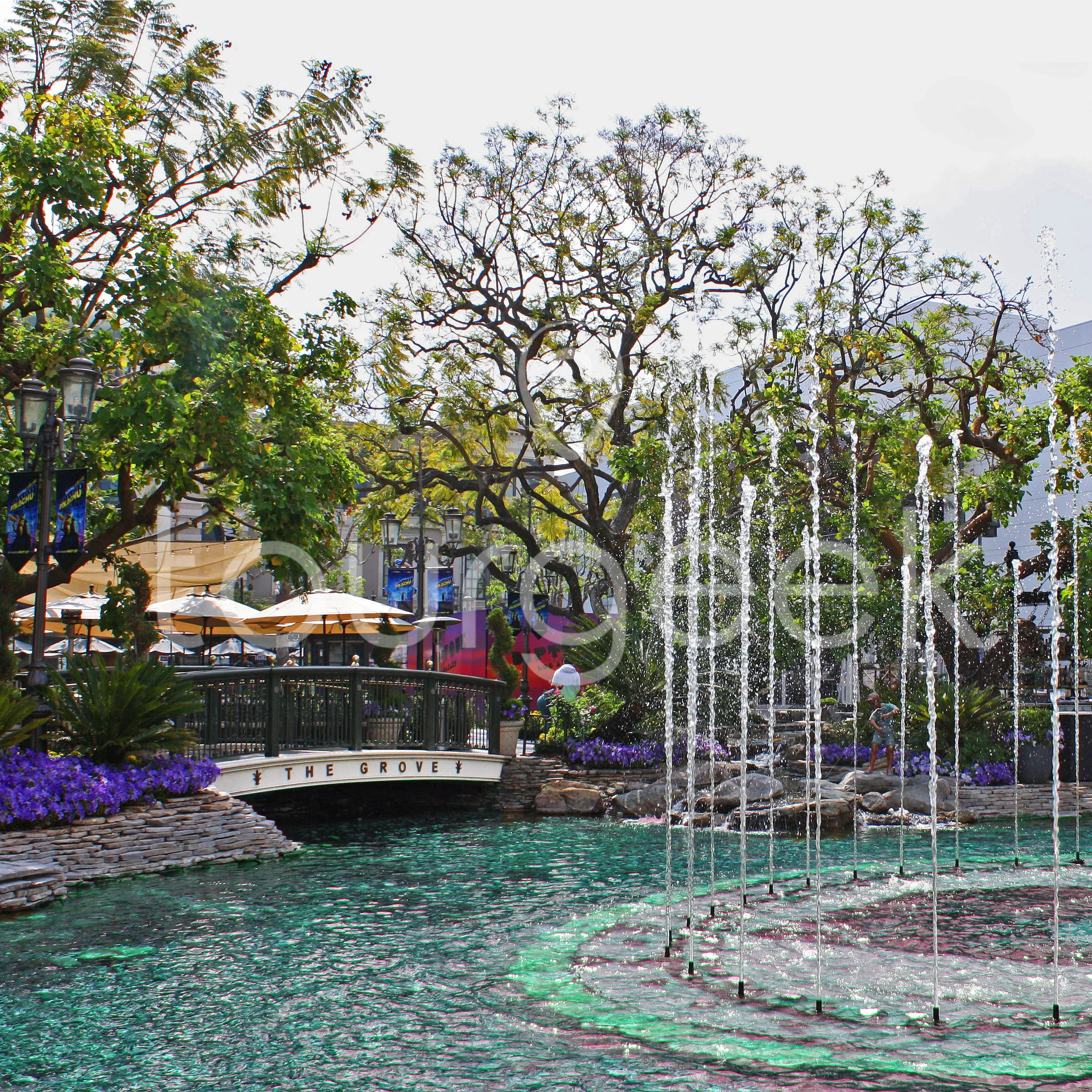 the Grove, Los Angeles