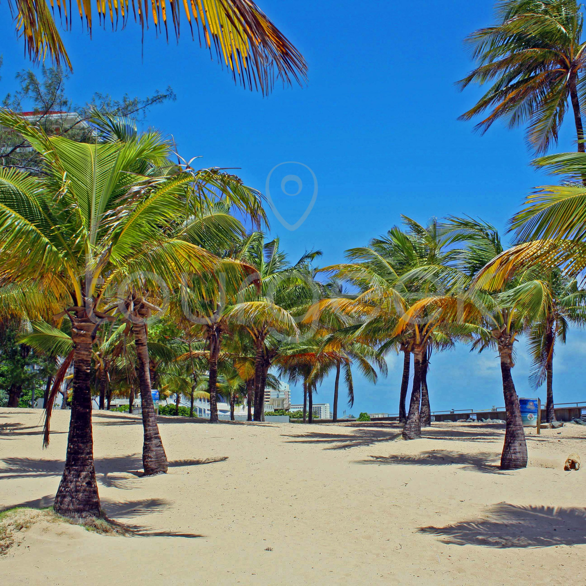 Condado Beach, Puerto Rico