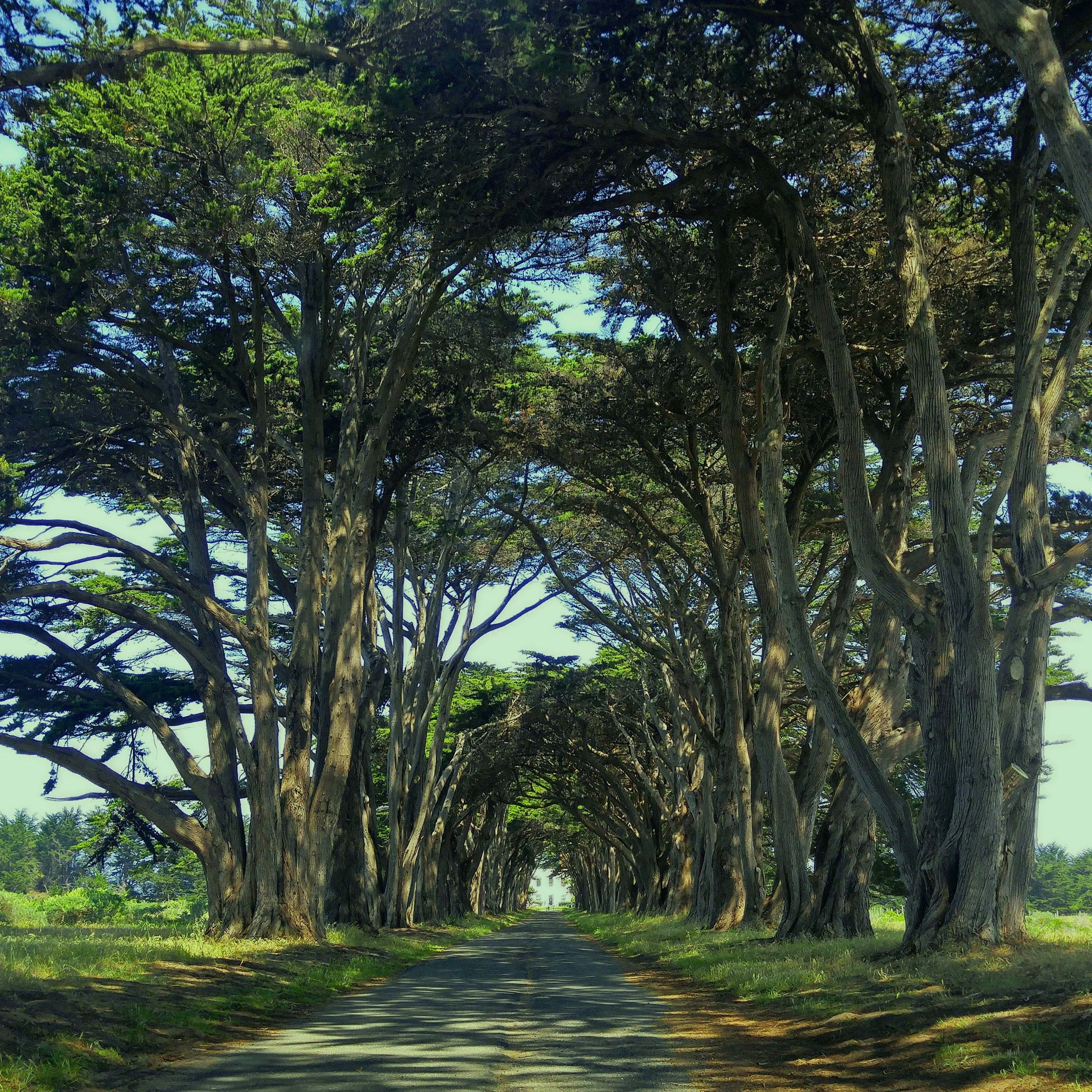6-Day Northern California Big Loop