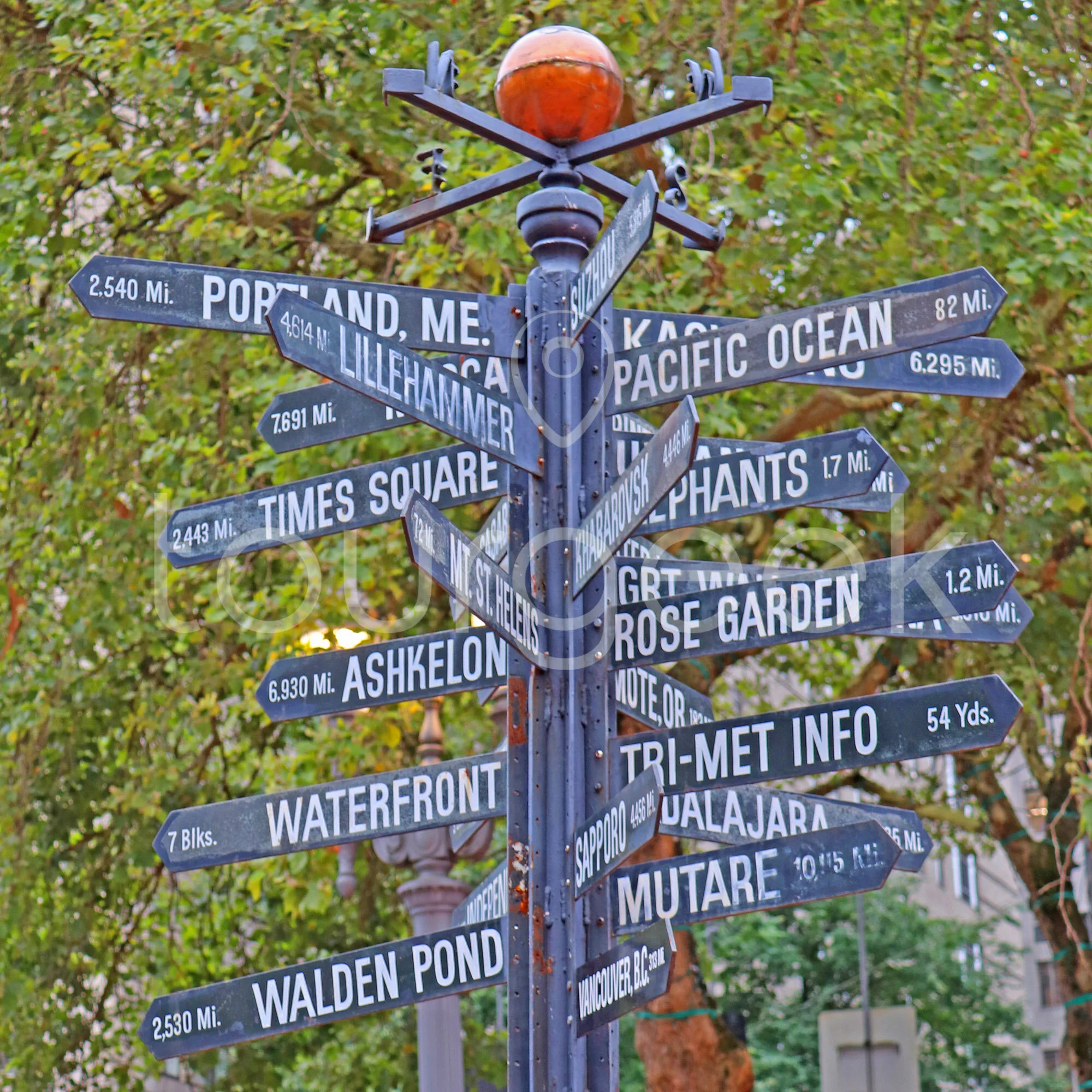 Portland (2).JPG