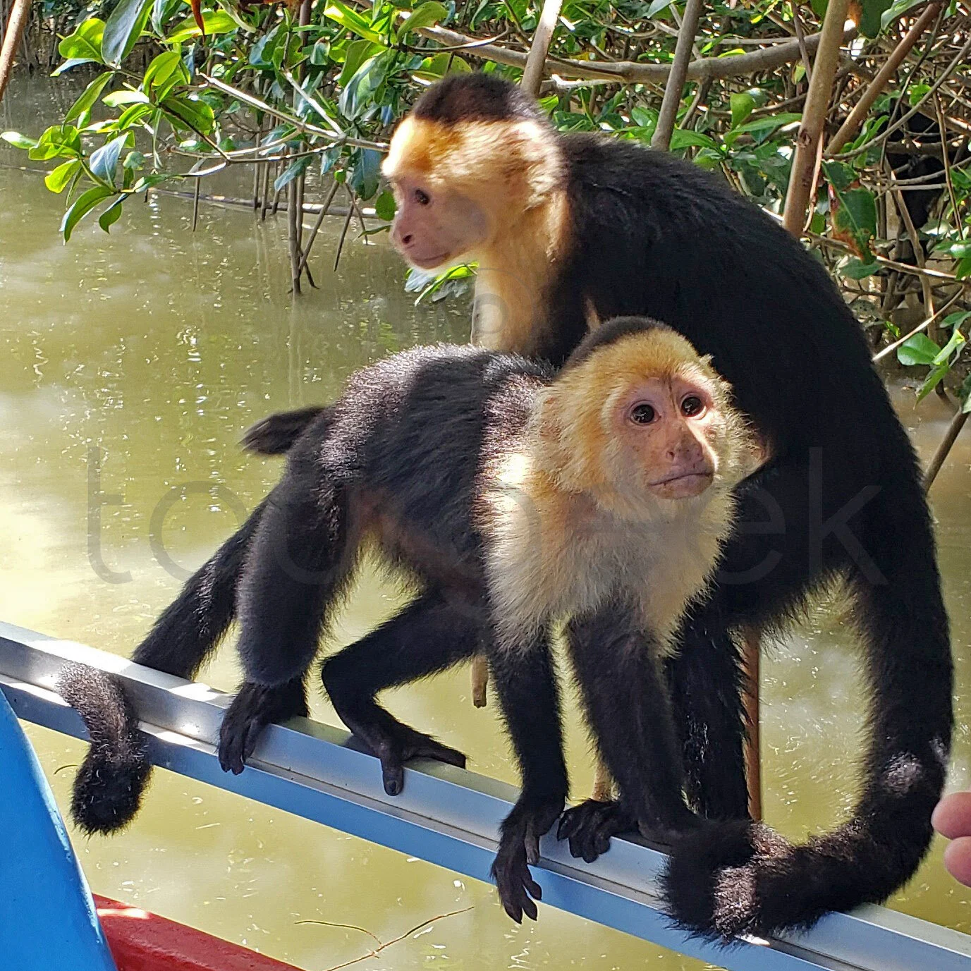 CostaRica8.jpg