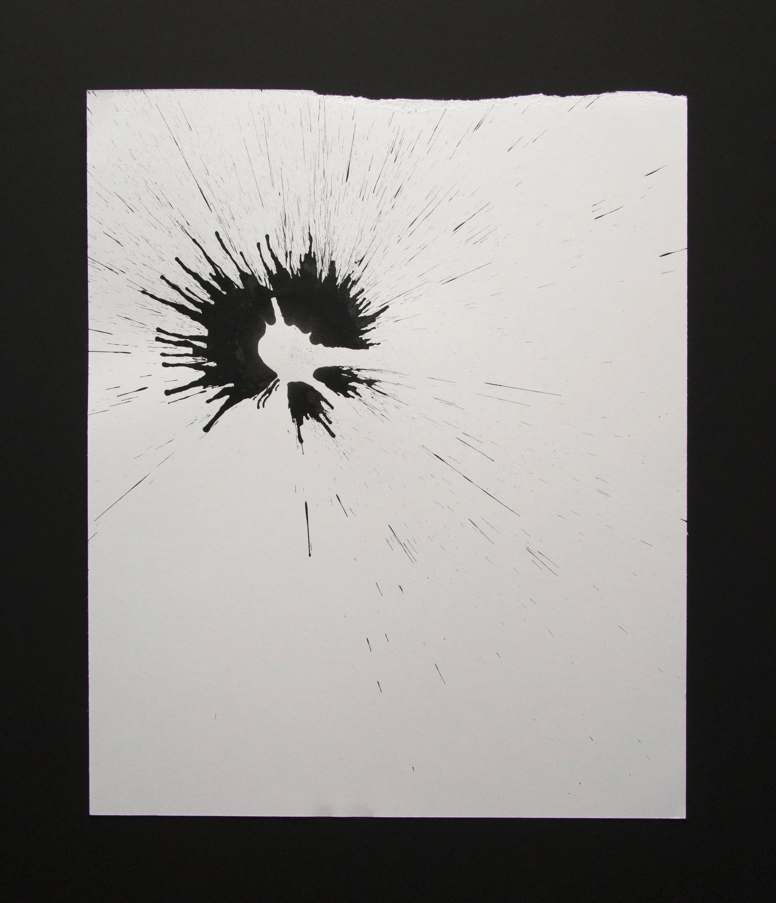 Black India ink on Vellum