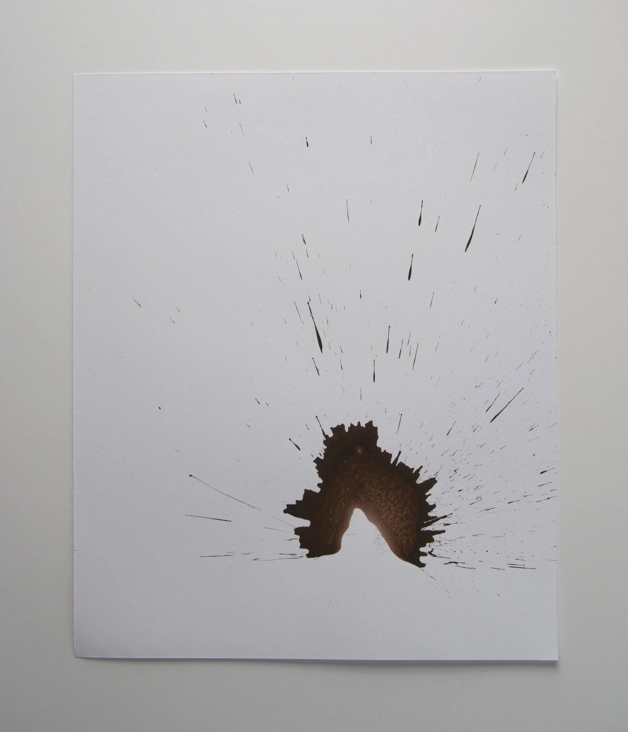 2017+ink.paper.brown.wind4.cueva.jpg