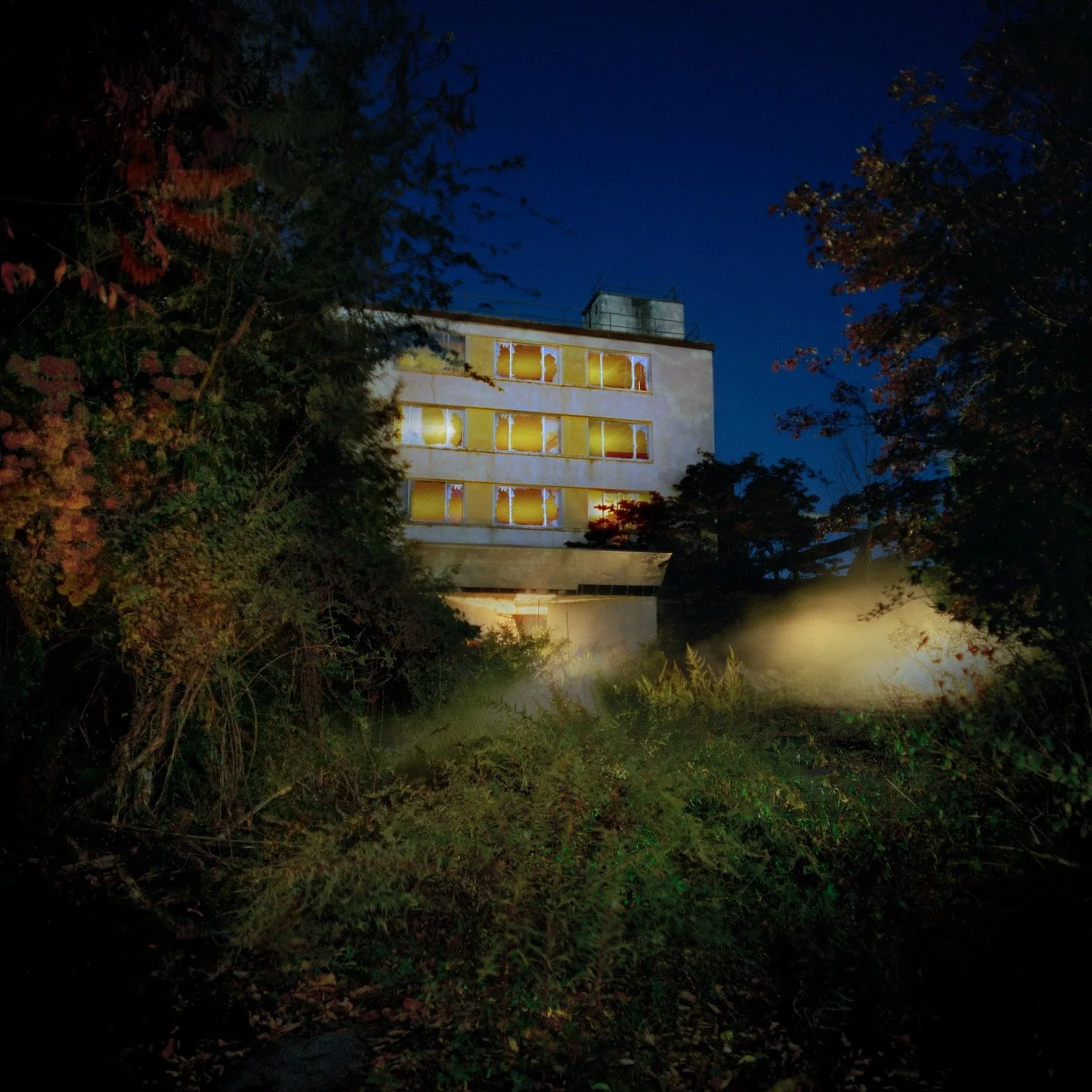 alone at the pines hotel