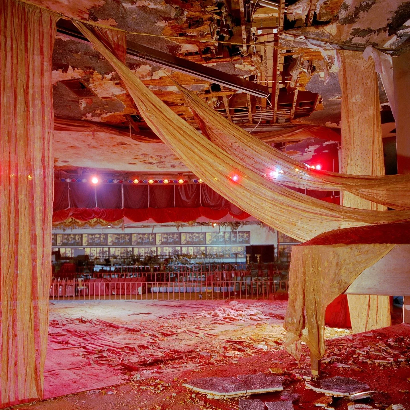 Moments from 2024&hellip;

I: Facing the audience at The Stevensville Hotel&rsquo;s Starlite Room, Swan Lake NY, May &lsquo;24

II: Nati at Pocono Gardens Lodge, Cresco PA, July &lsquo;24

III: The Unisphere, Queens NY, August &lsquo;24

IV: Vera Lee