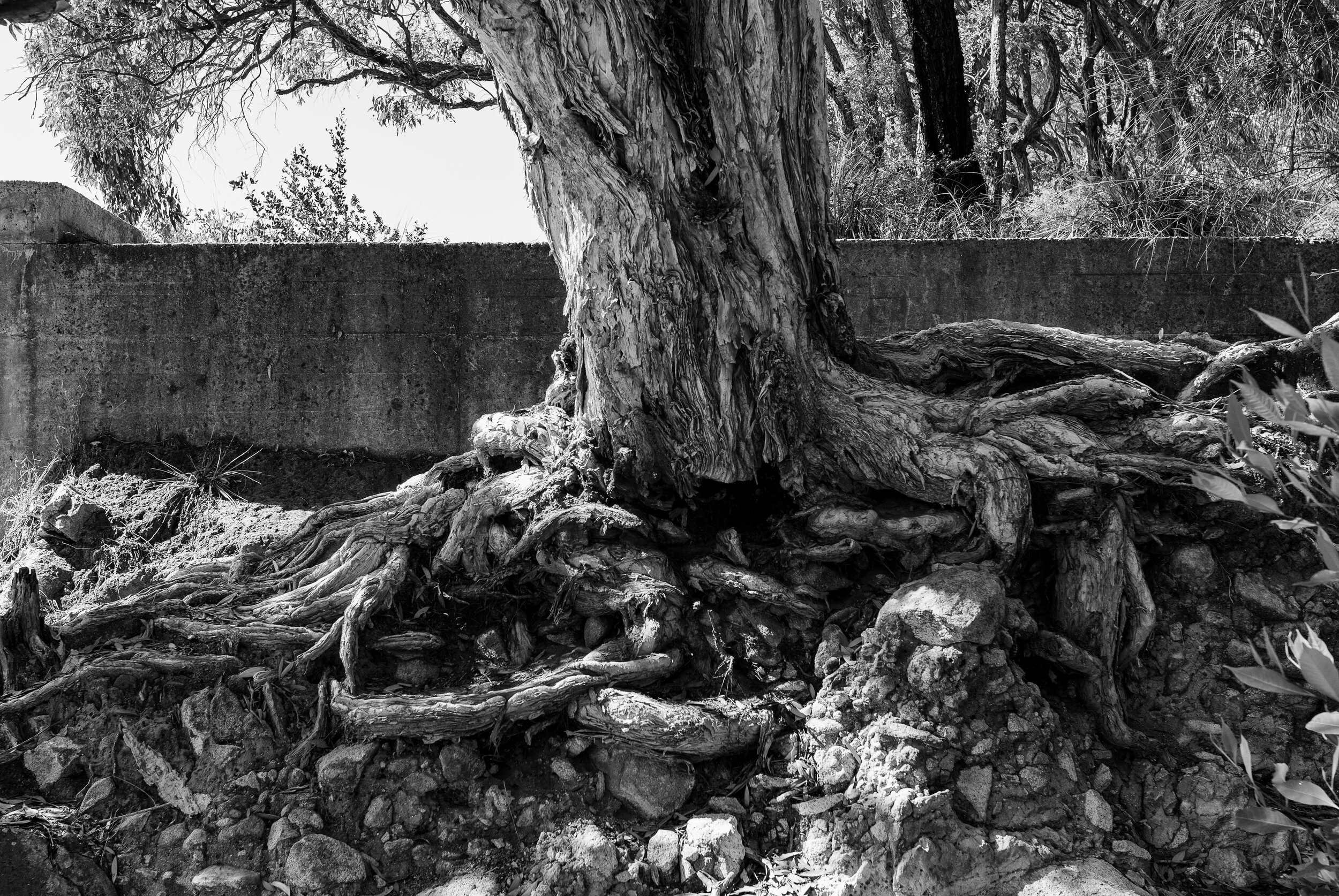 FORT TOMAREE 2