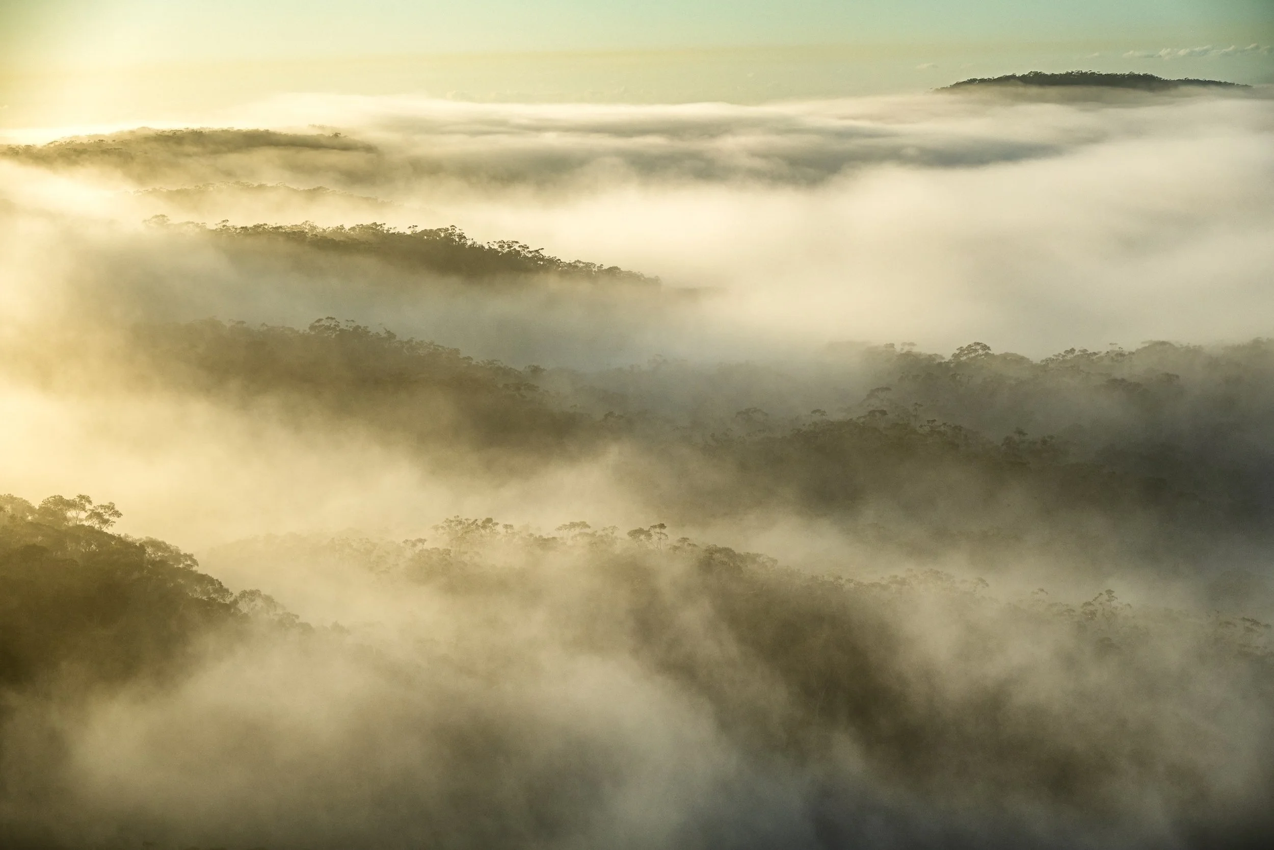 PADDYS CASTLE MORNING 1