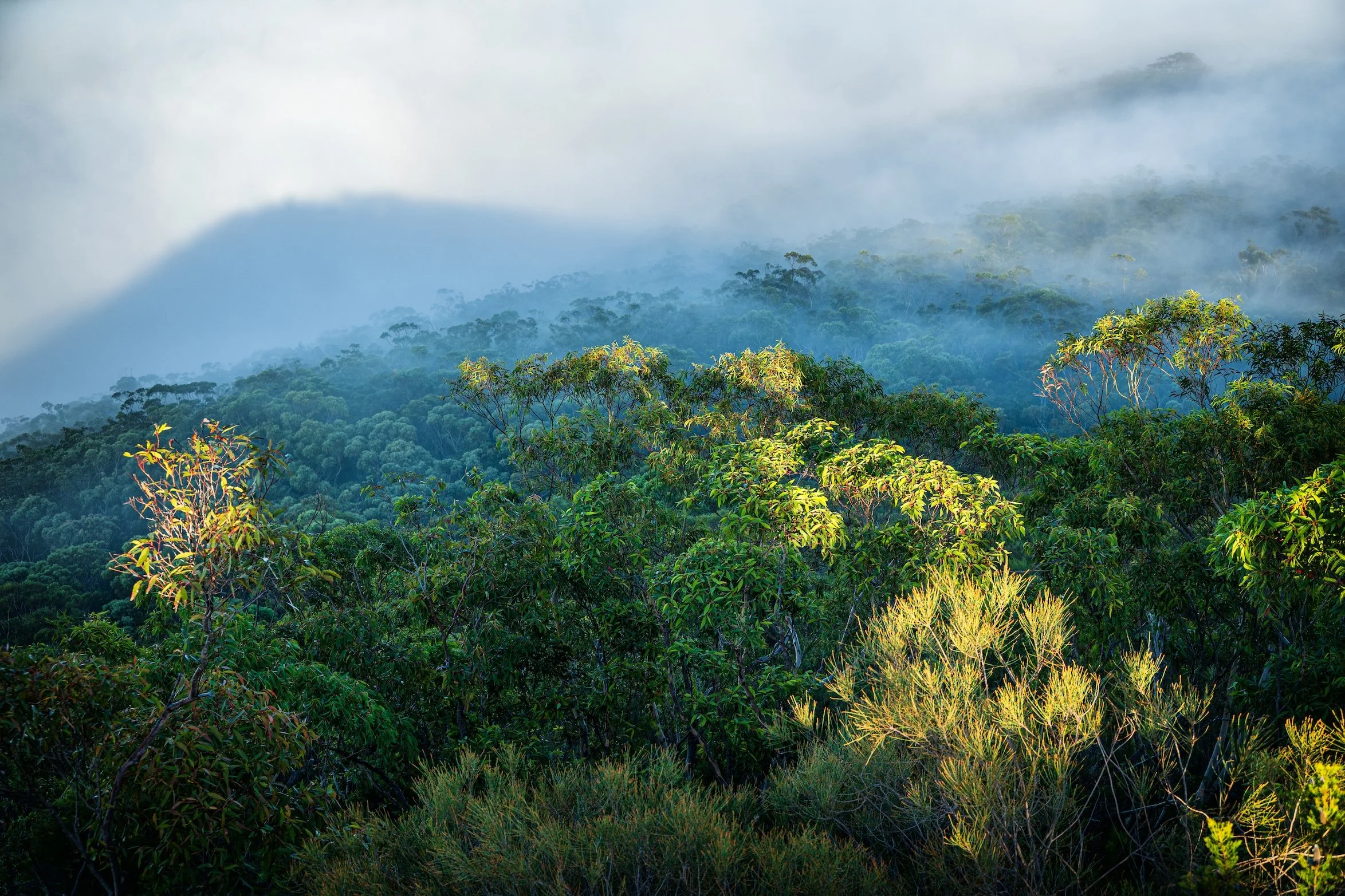 PADDYS CASTLE MORNING 2
