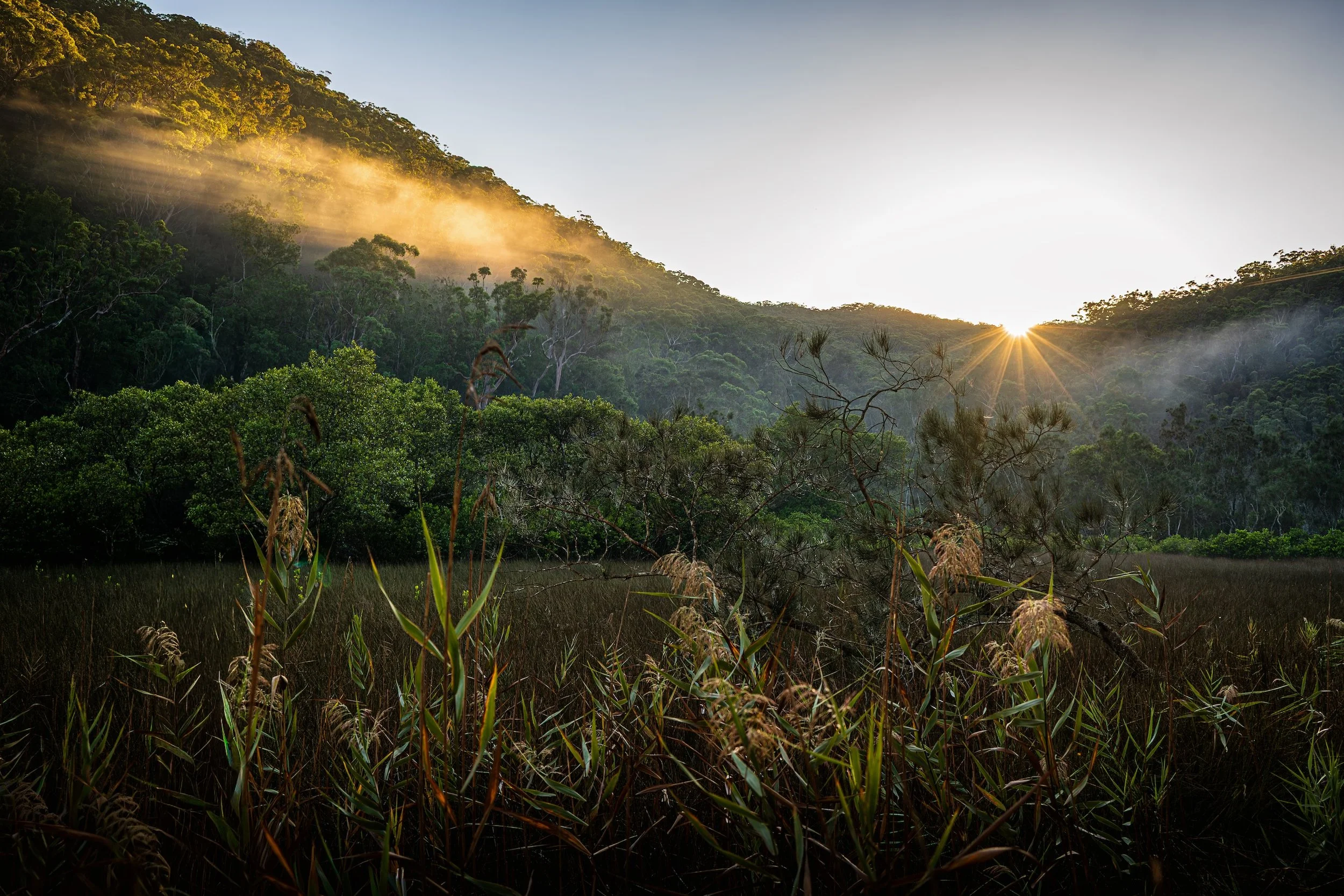 SMITHS CREEK SUNRISE 1
