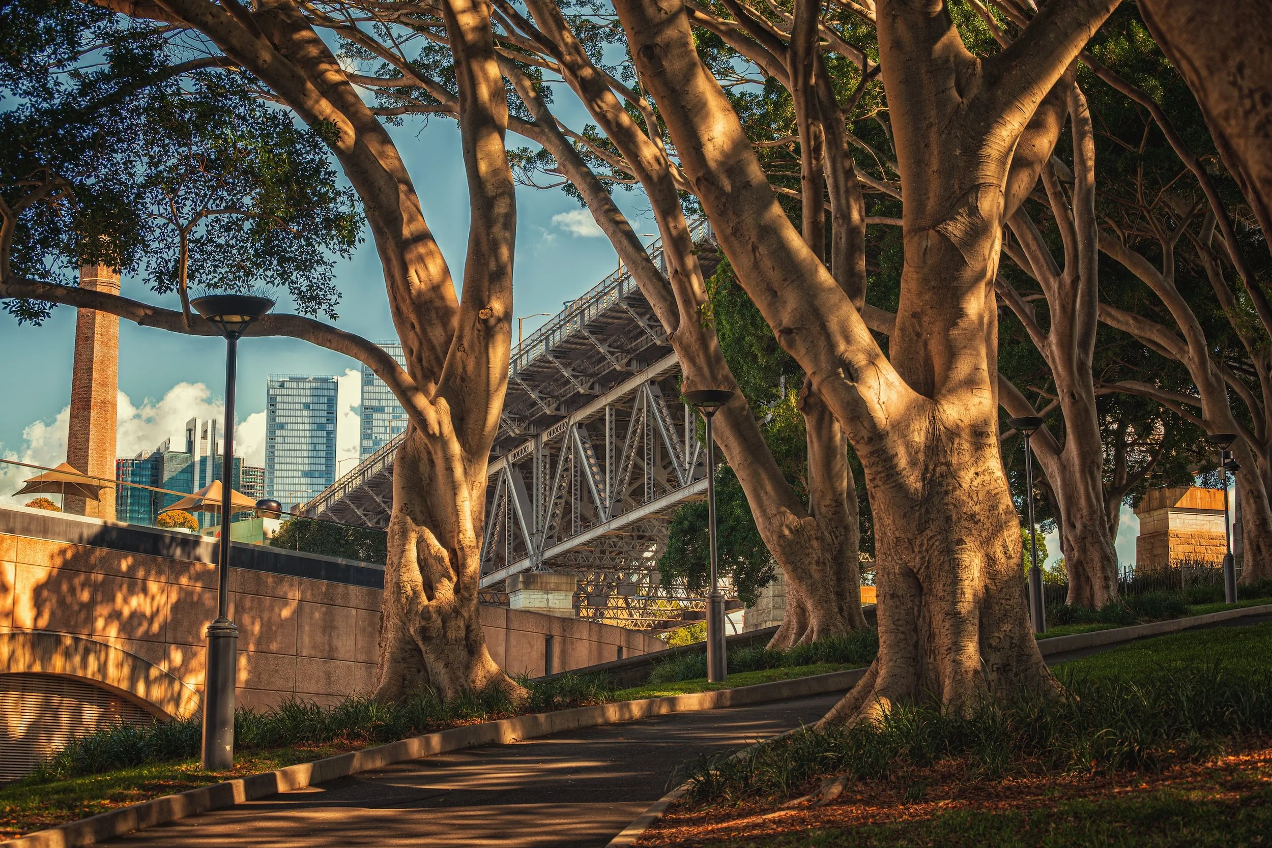 BRIDGE SHADOWS