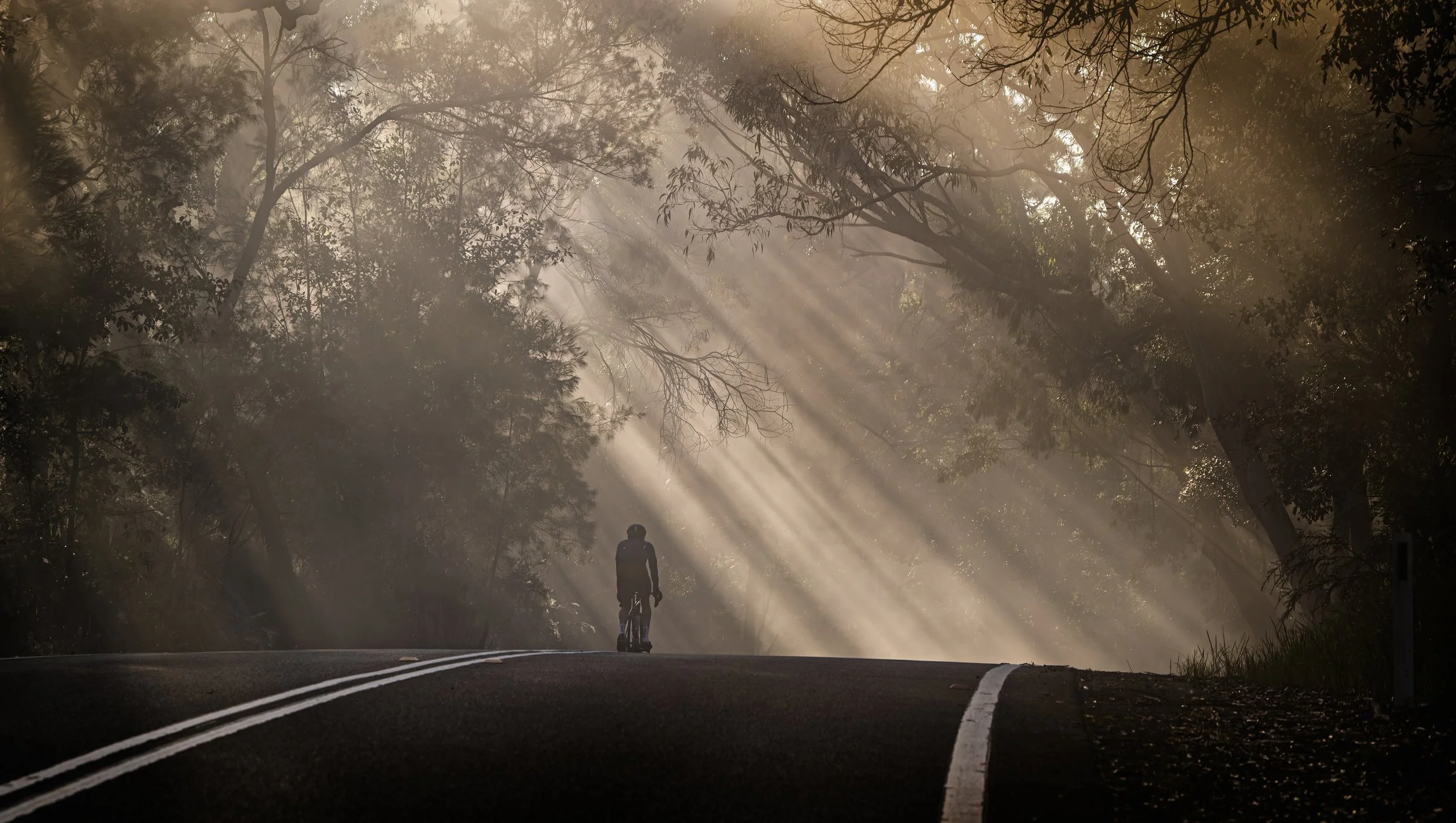 RAYS