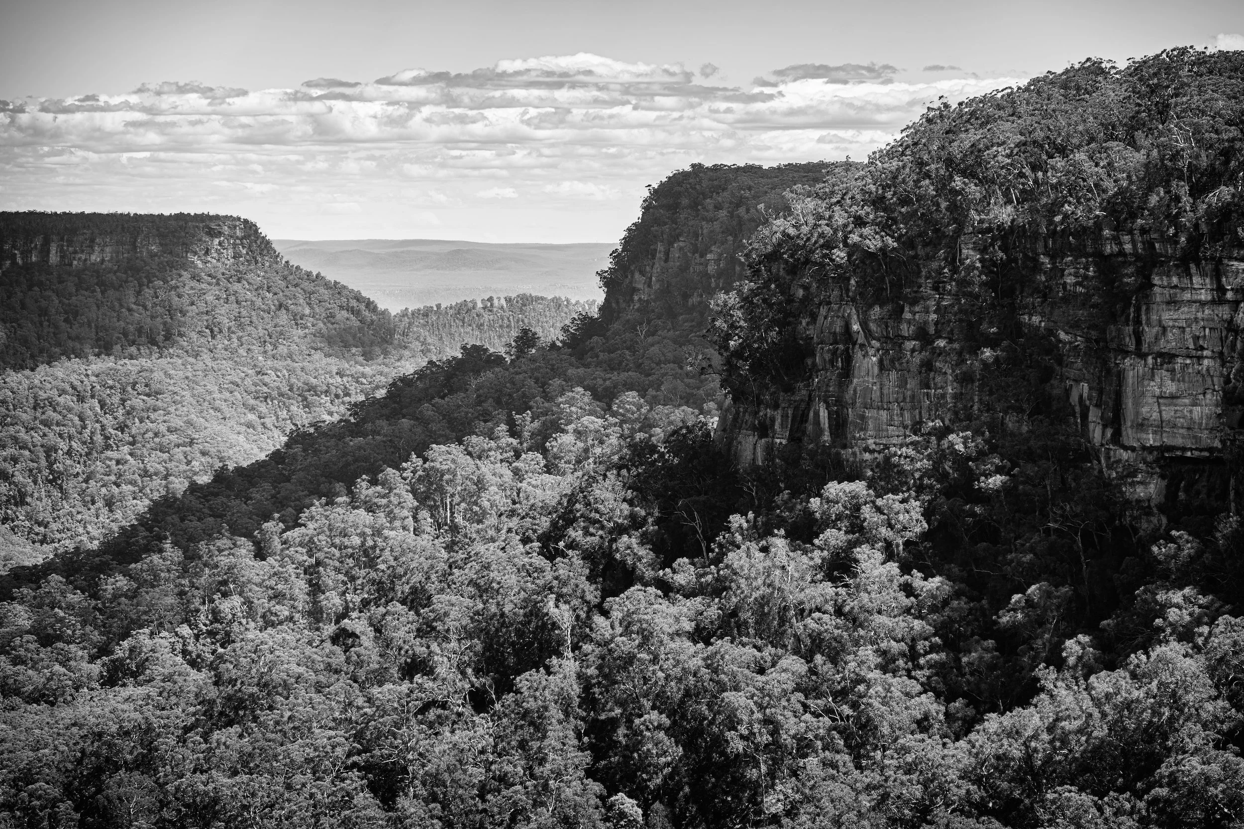 WEST RIM BW