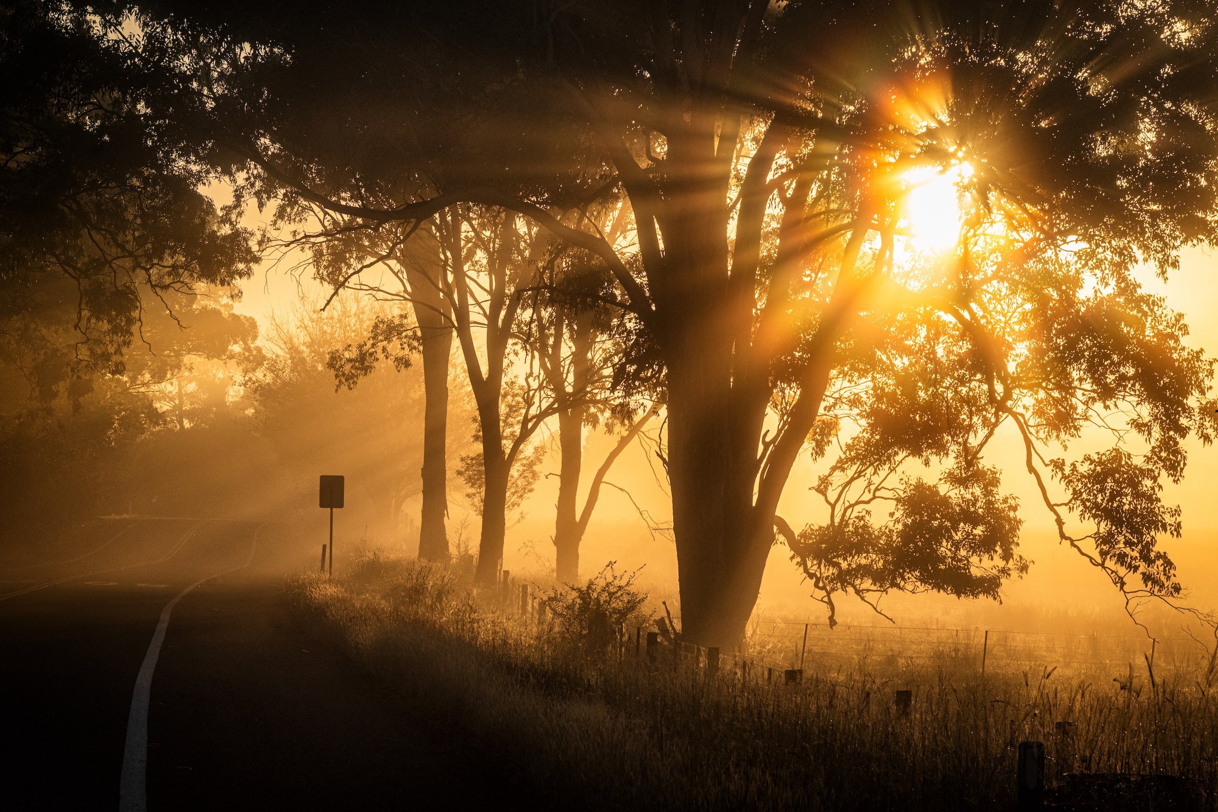 GUARDIAN_CASTLEREAGH ROAD.jpg