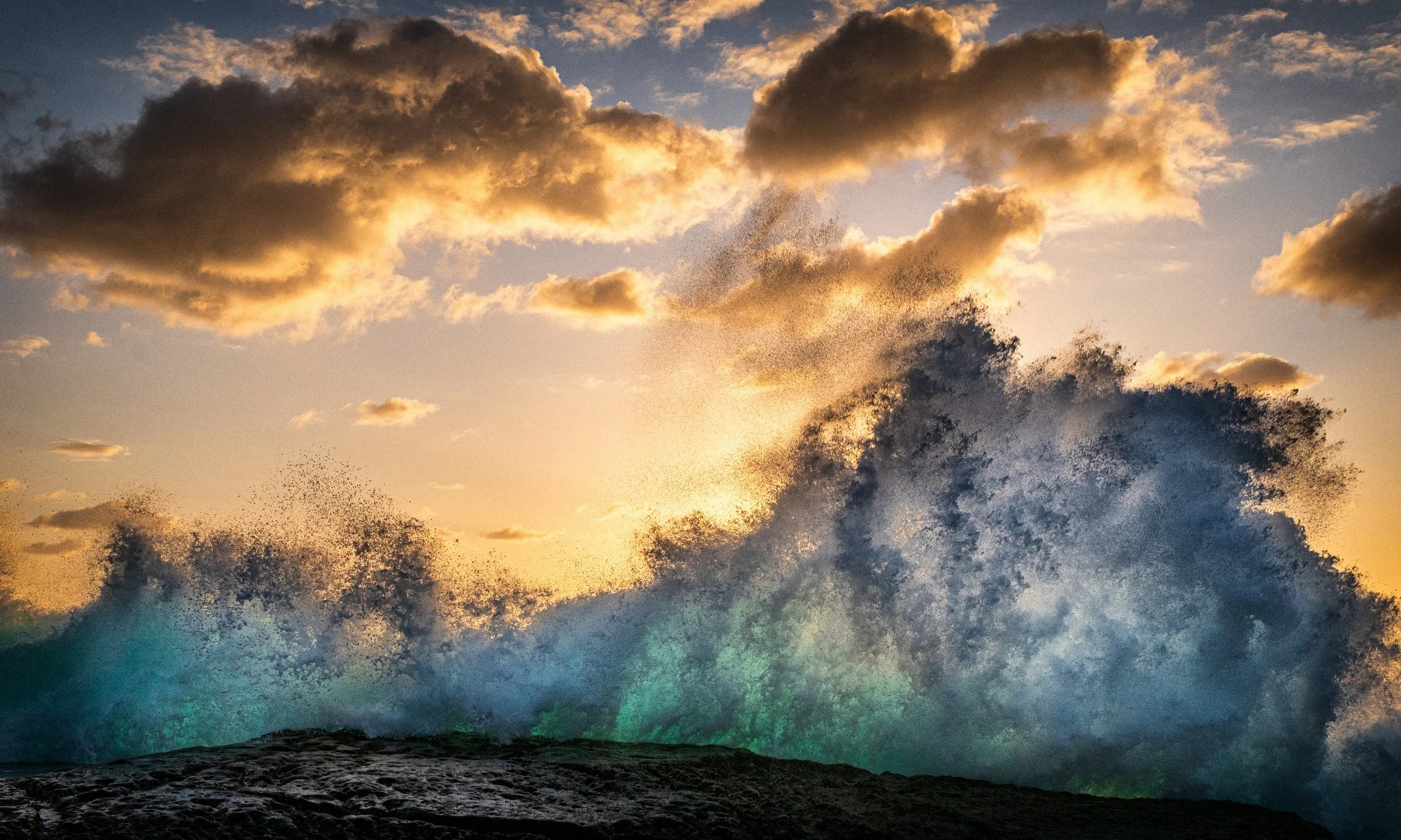 CURLY SUNRISE 2024 4.jpg