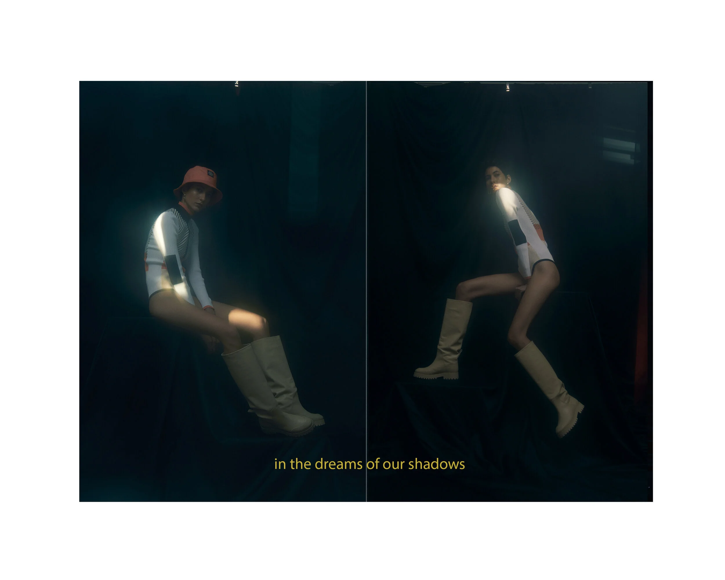 In the Dreams of Our Shadows