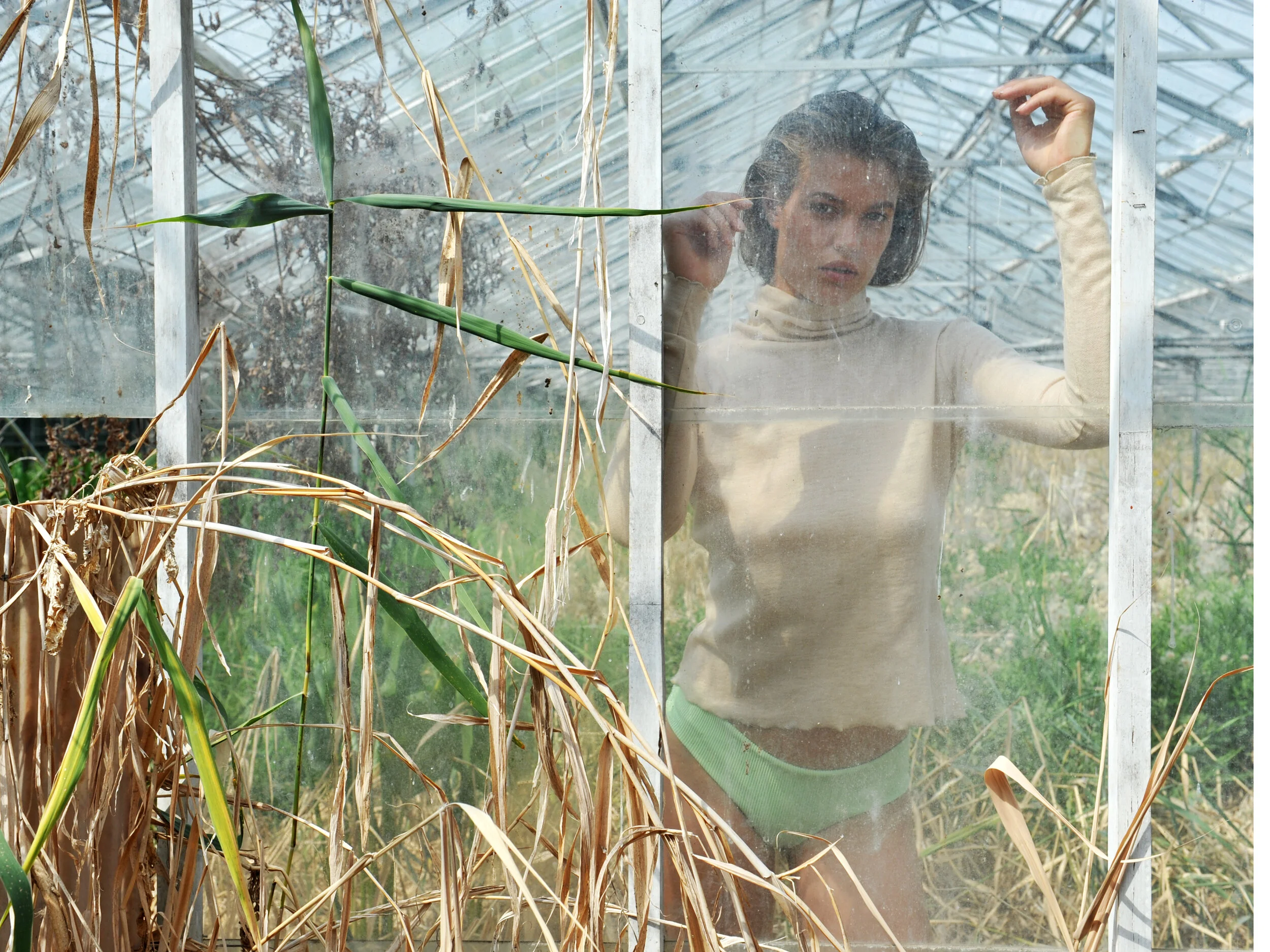 How Loves a Garden, Loves a Greenhouse Too