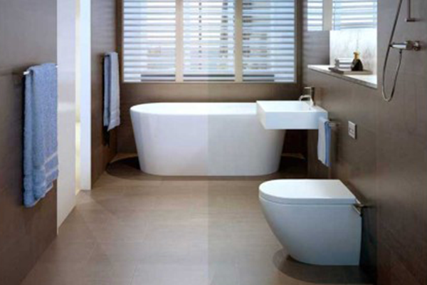 shower-and-bathroom-790x526.png