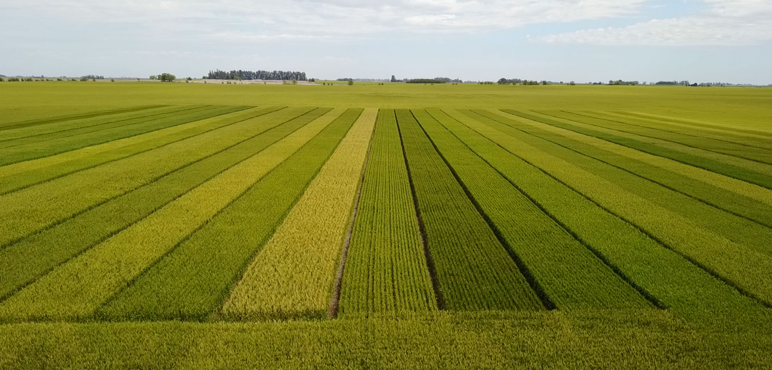 BridgeLane_Hero_Agriculture.jpg