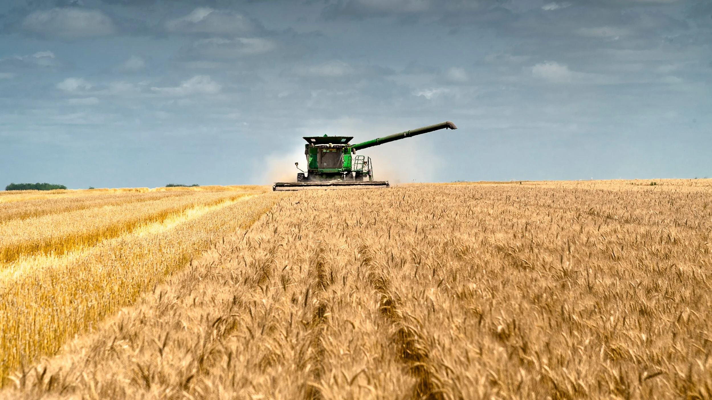 AGRI_WheatHarvest1.jpg