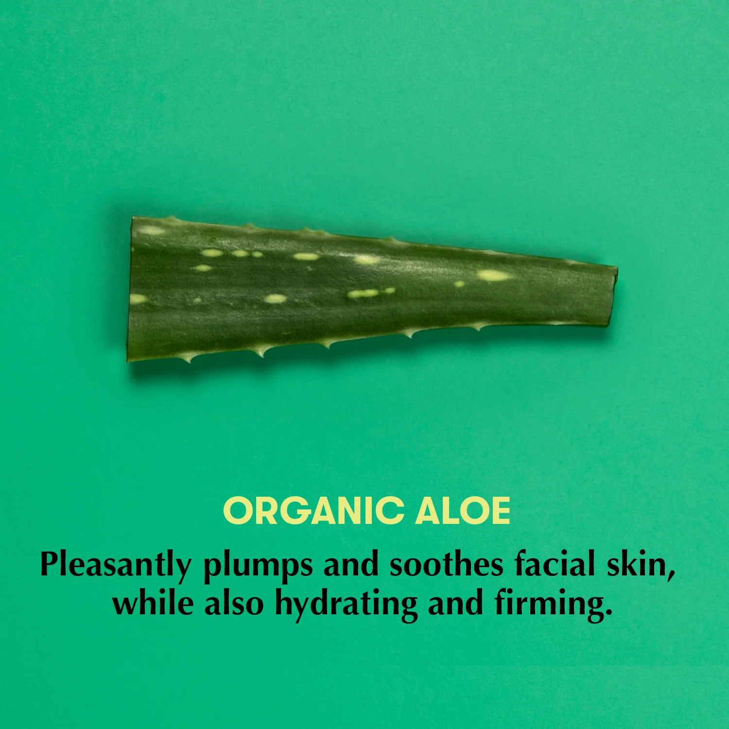 Vital-Facecare-Take-Your-Time-Organic-Aloe