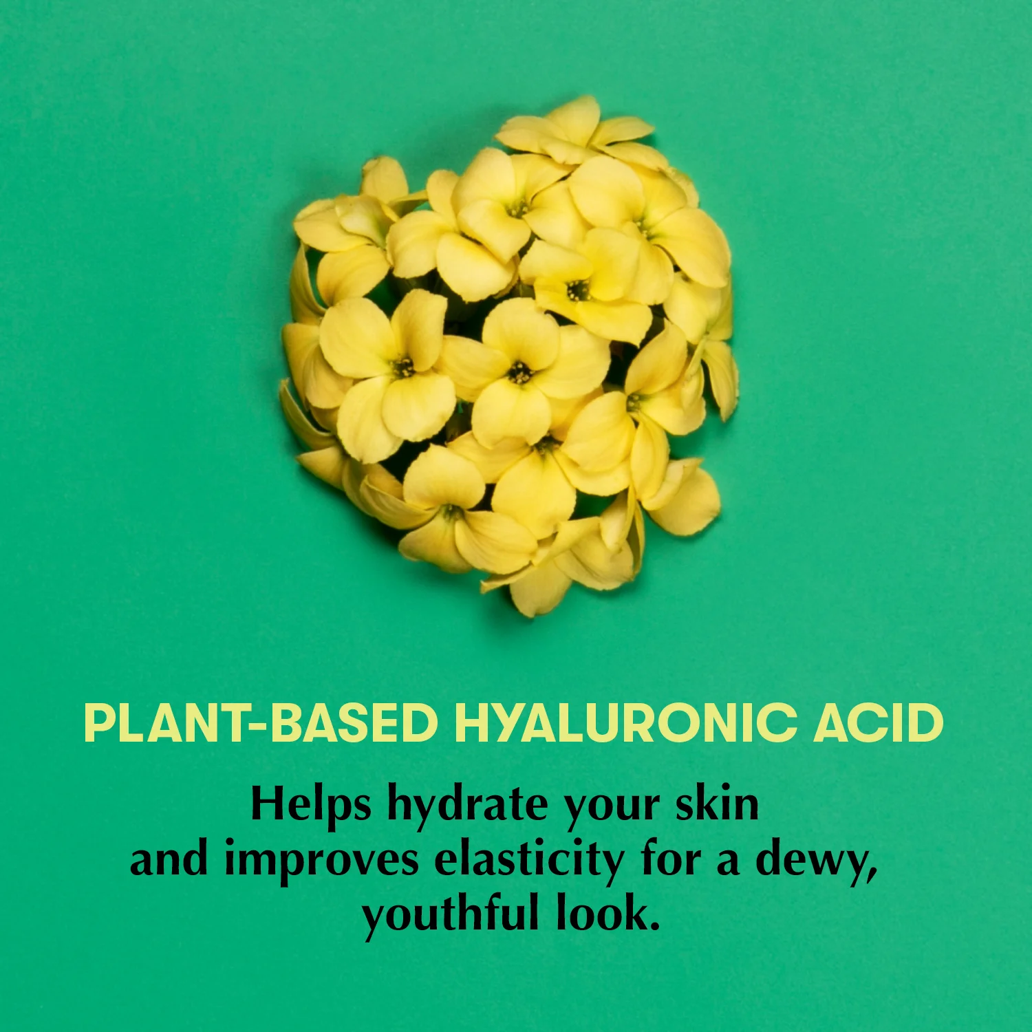 Vital-Facecare-Take-Your-Time-Plant-Based-Hyaluronic-Acid