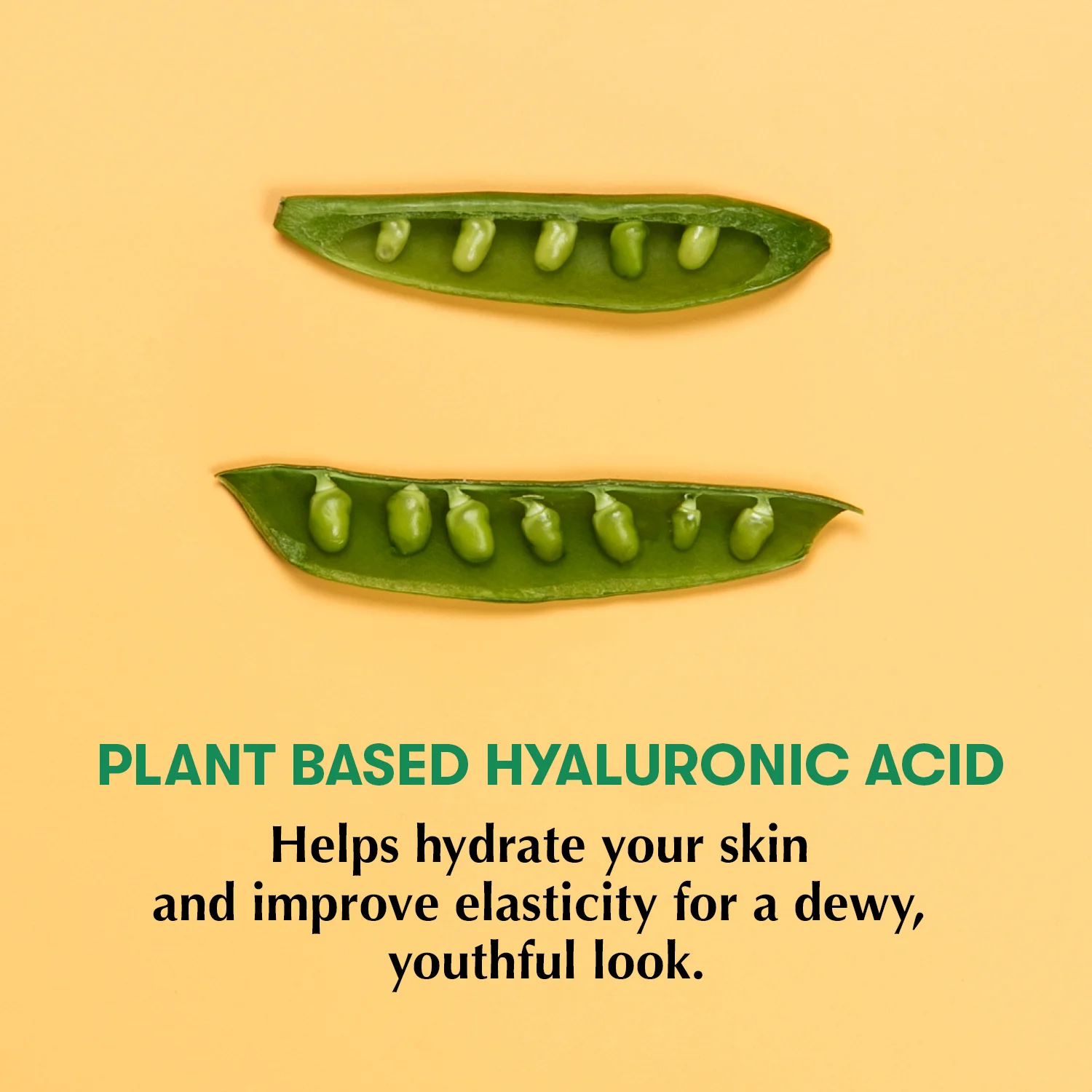 Vital-Facecare-Keep-em-Guessing-Plant-Based-Hyaluronic-Acid