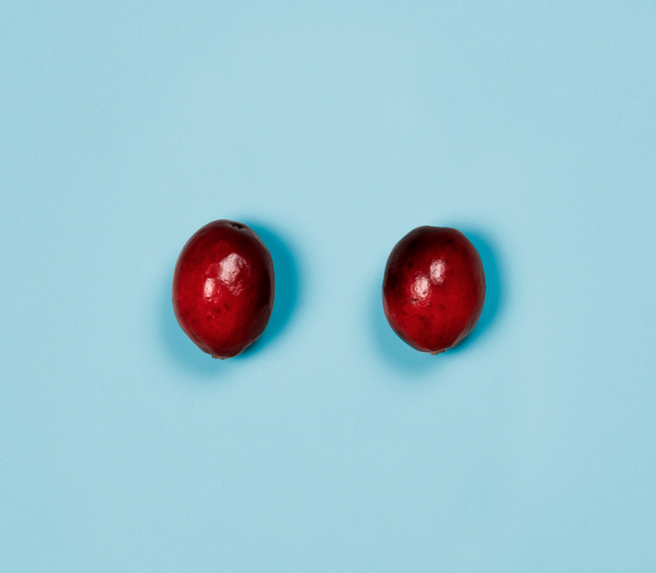 Cranberries.jpg