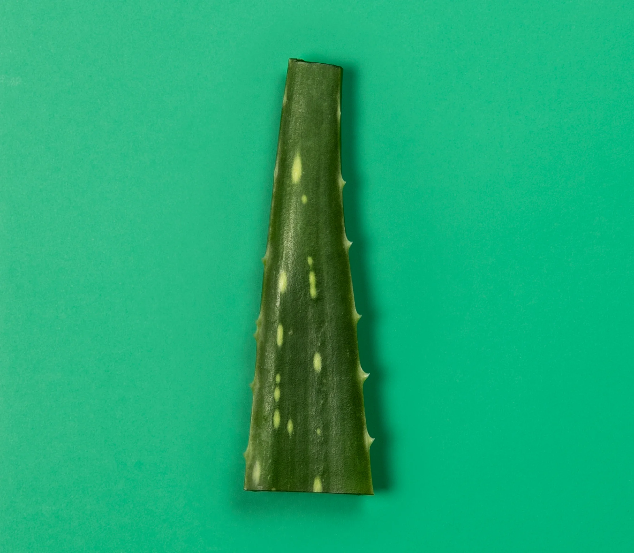 OrganicAloe.jpg