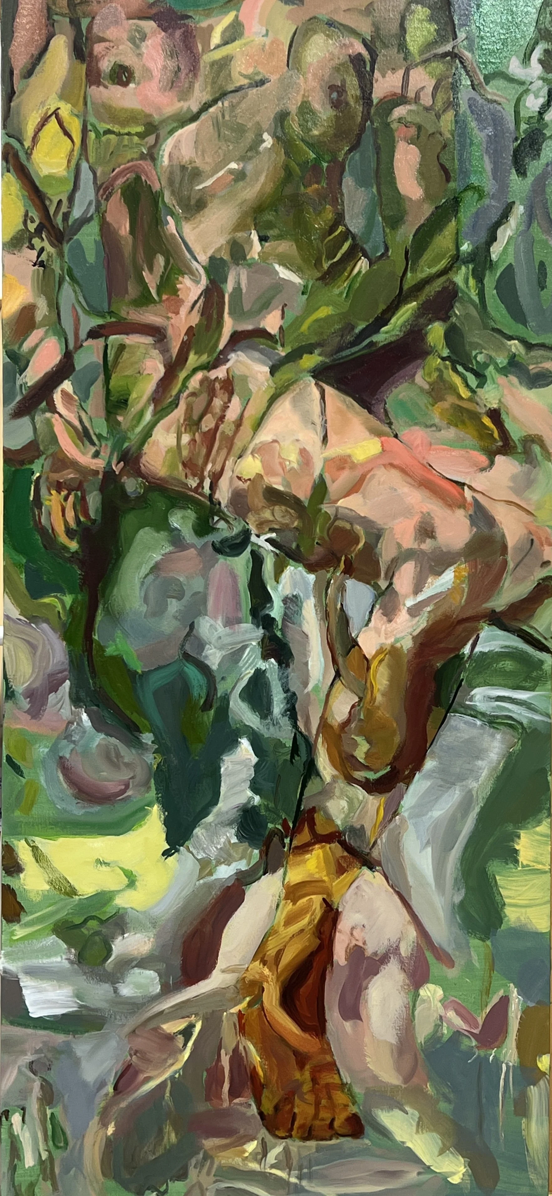 Daphne