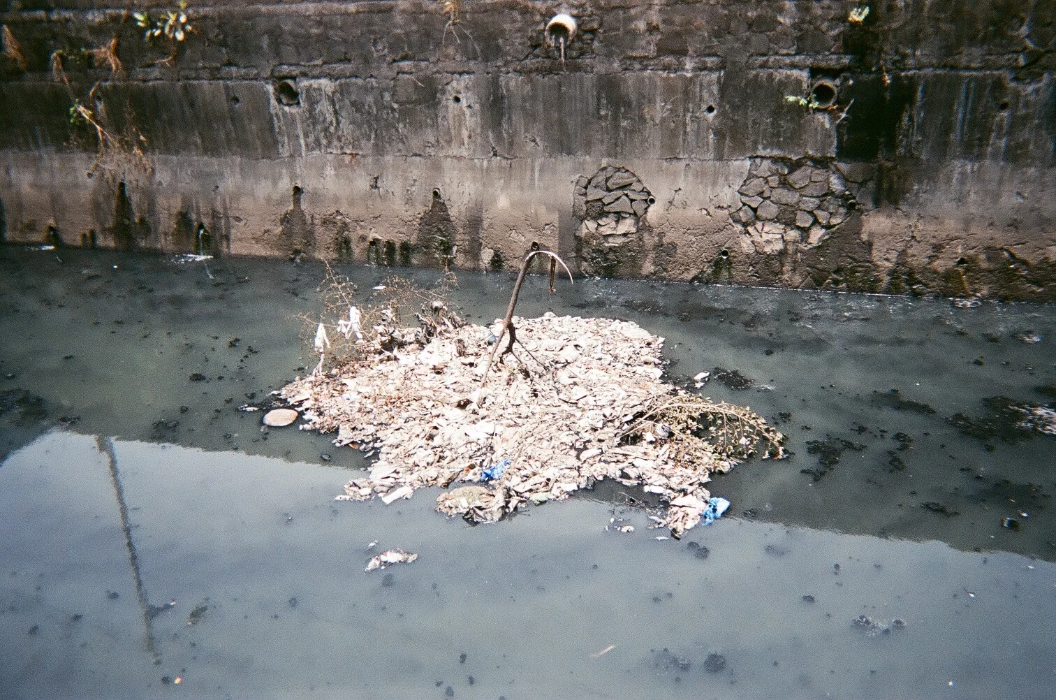 The Sewage Canal I Fell in Love With, 2018