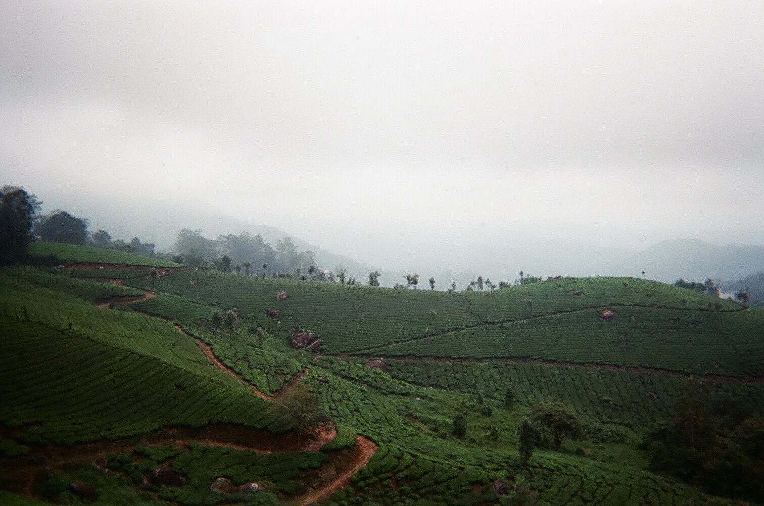 Feels Like Home Up Here, 2018