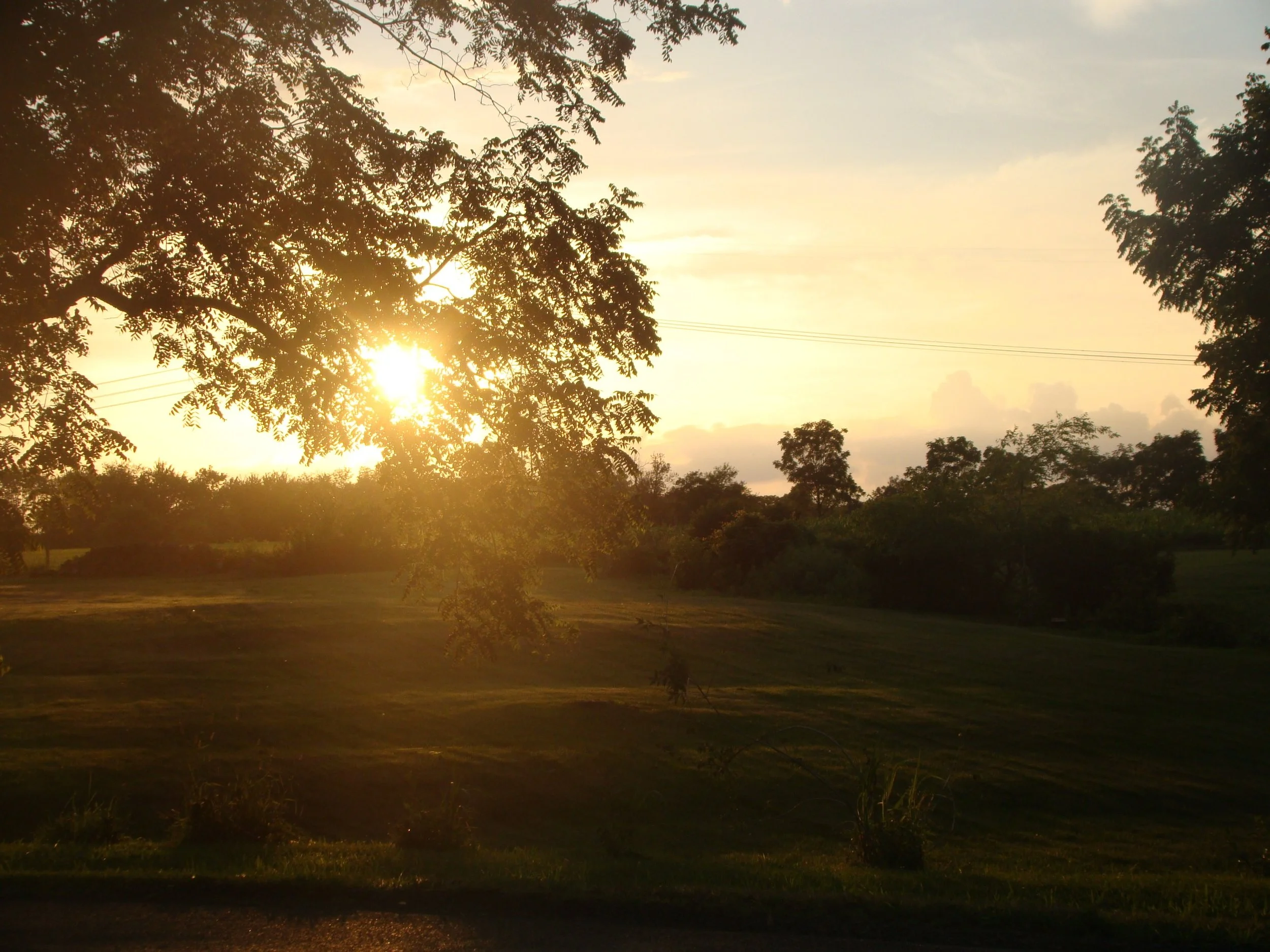 Exactly How I Like It, 2018