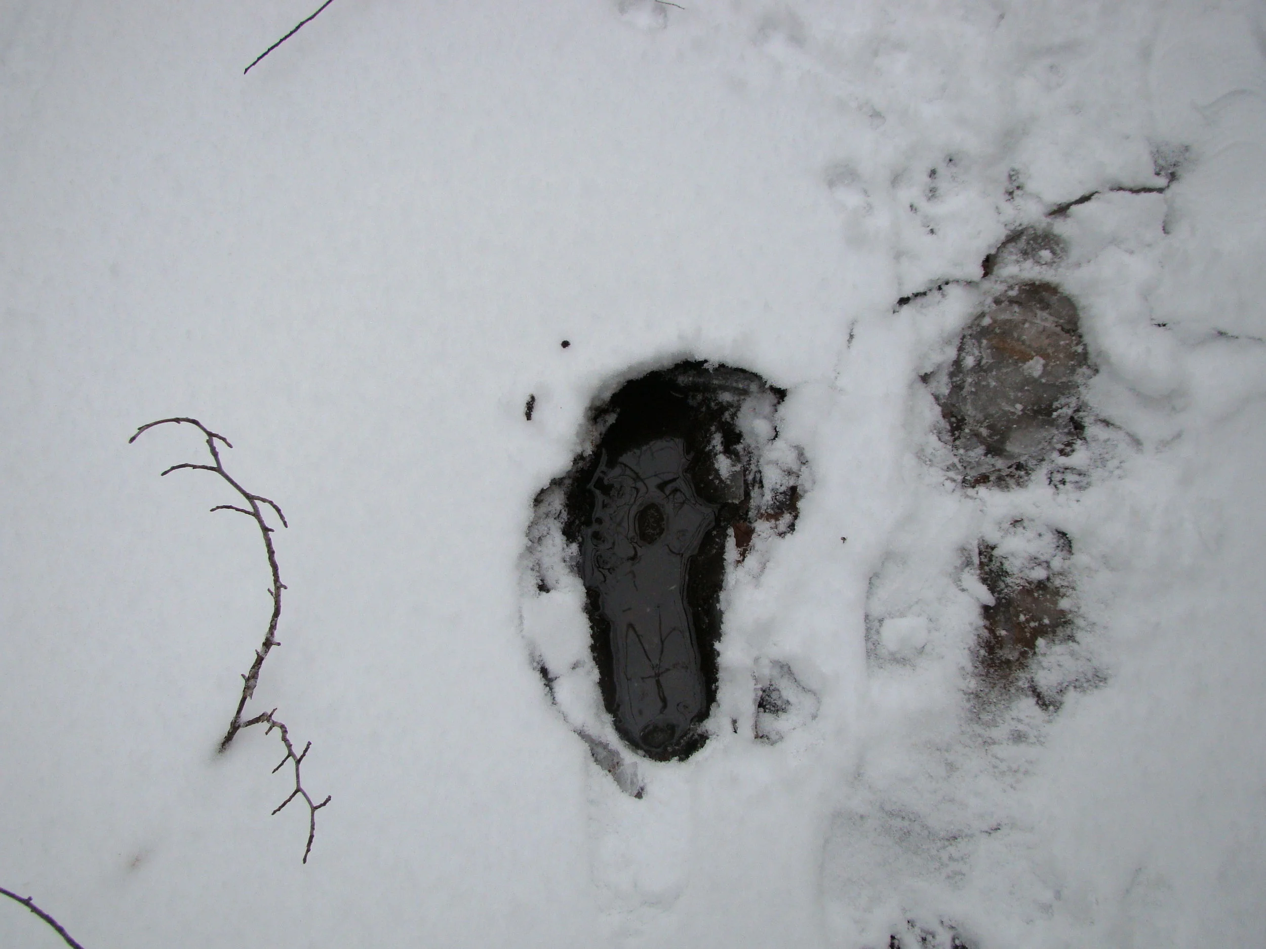 Human Tracks, 2018