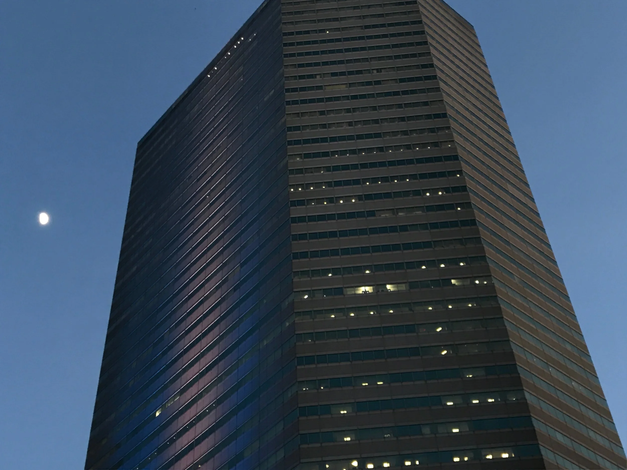 Movement on a Late Afternoon, 2019