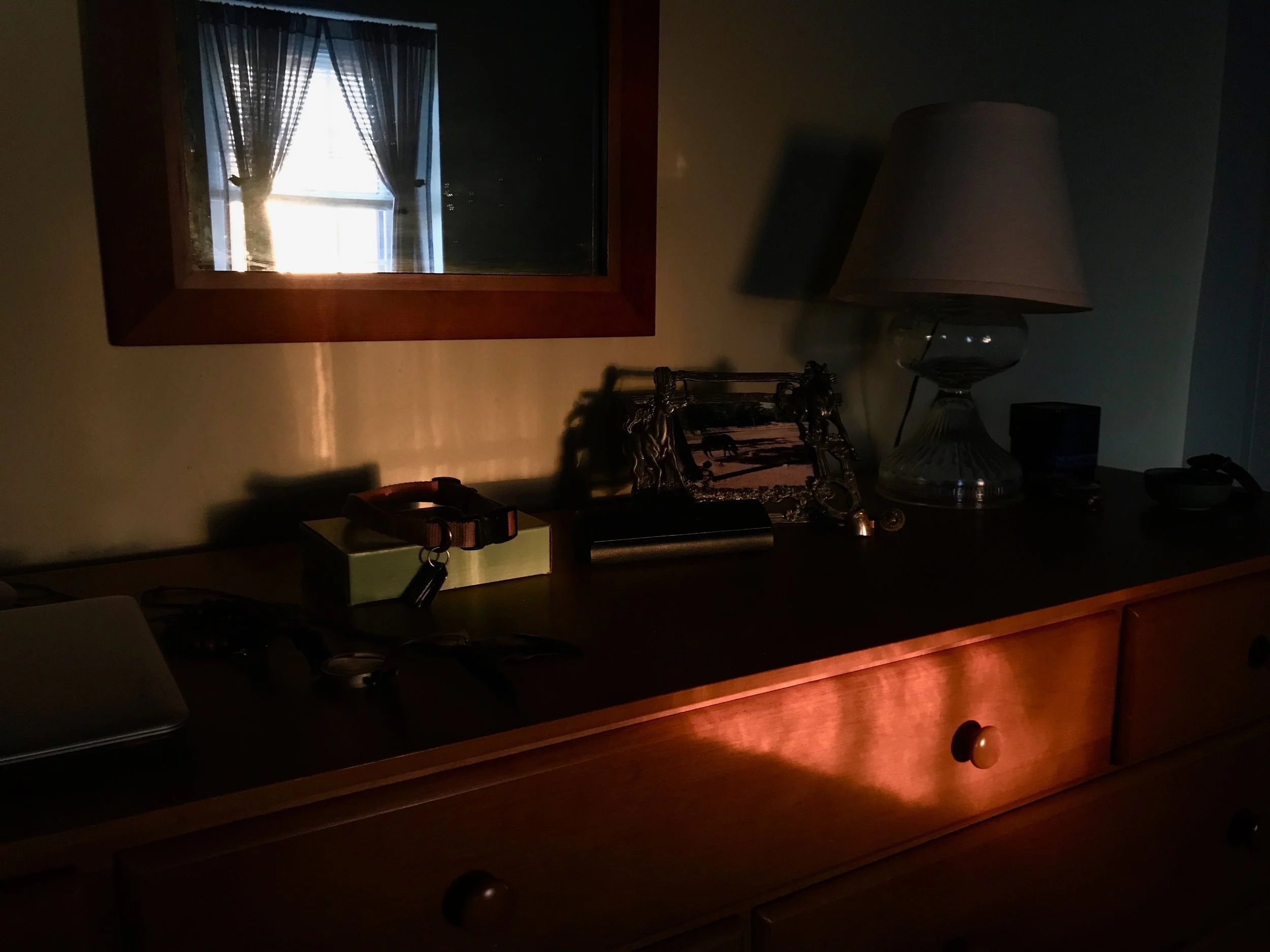 Morning Light in My Room, 2018