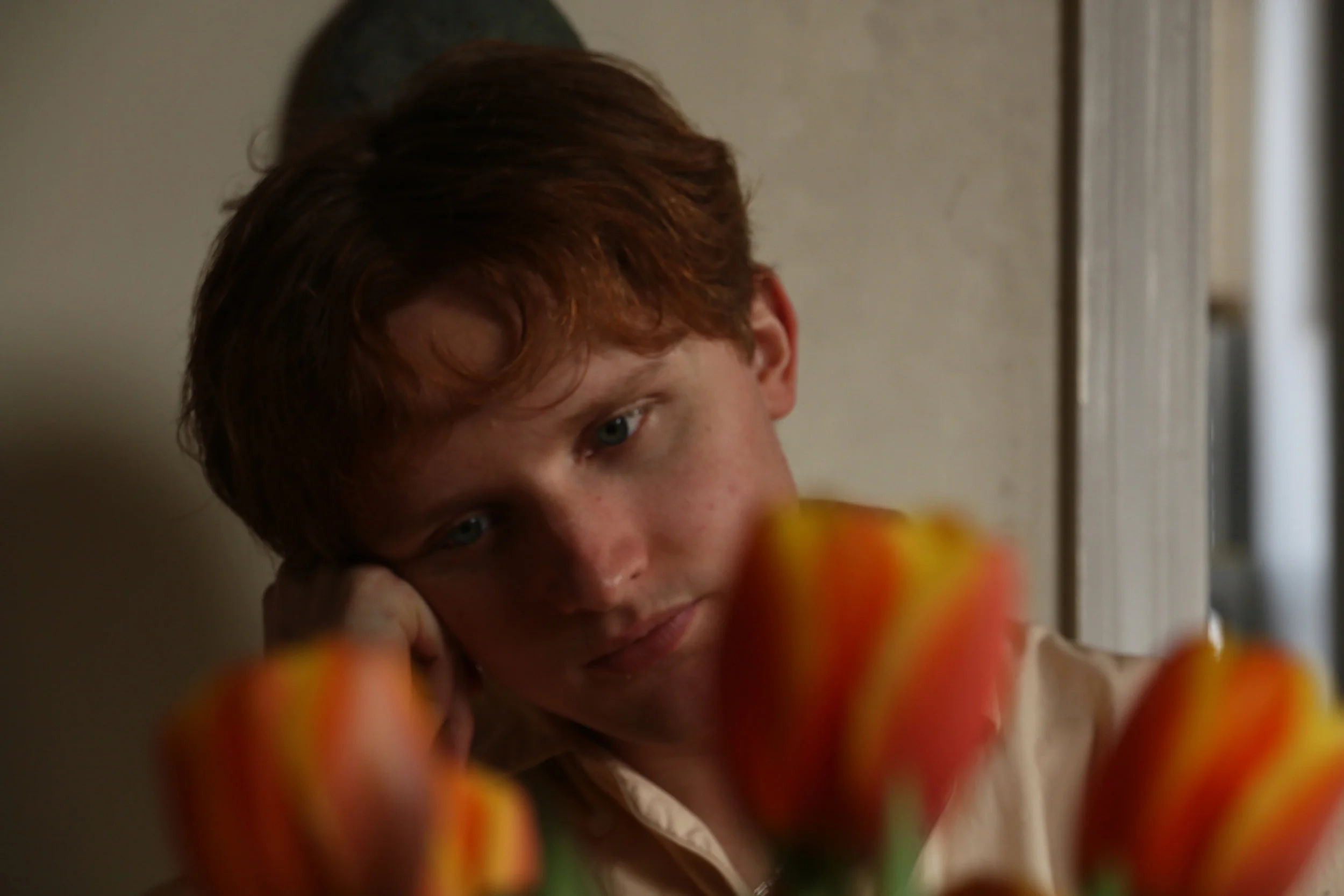 Owen through the Tulips, 2019.