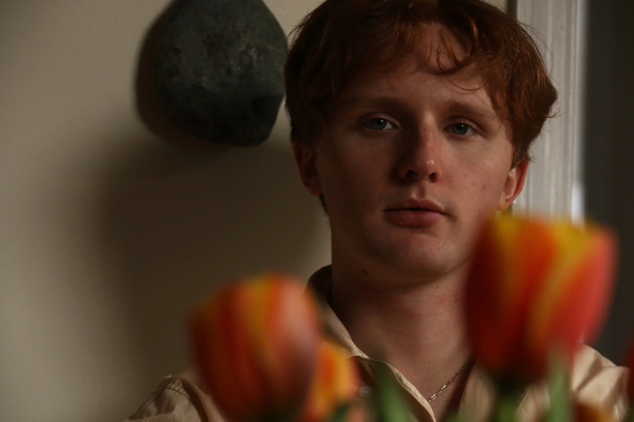 Owen, 2019.