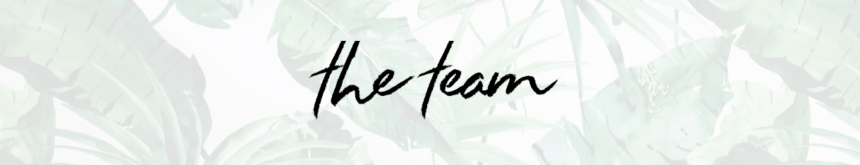 The Team banner