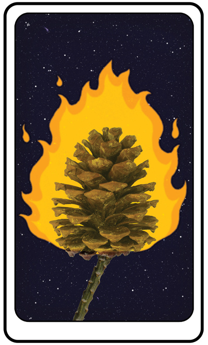 pinecone.png