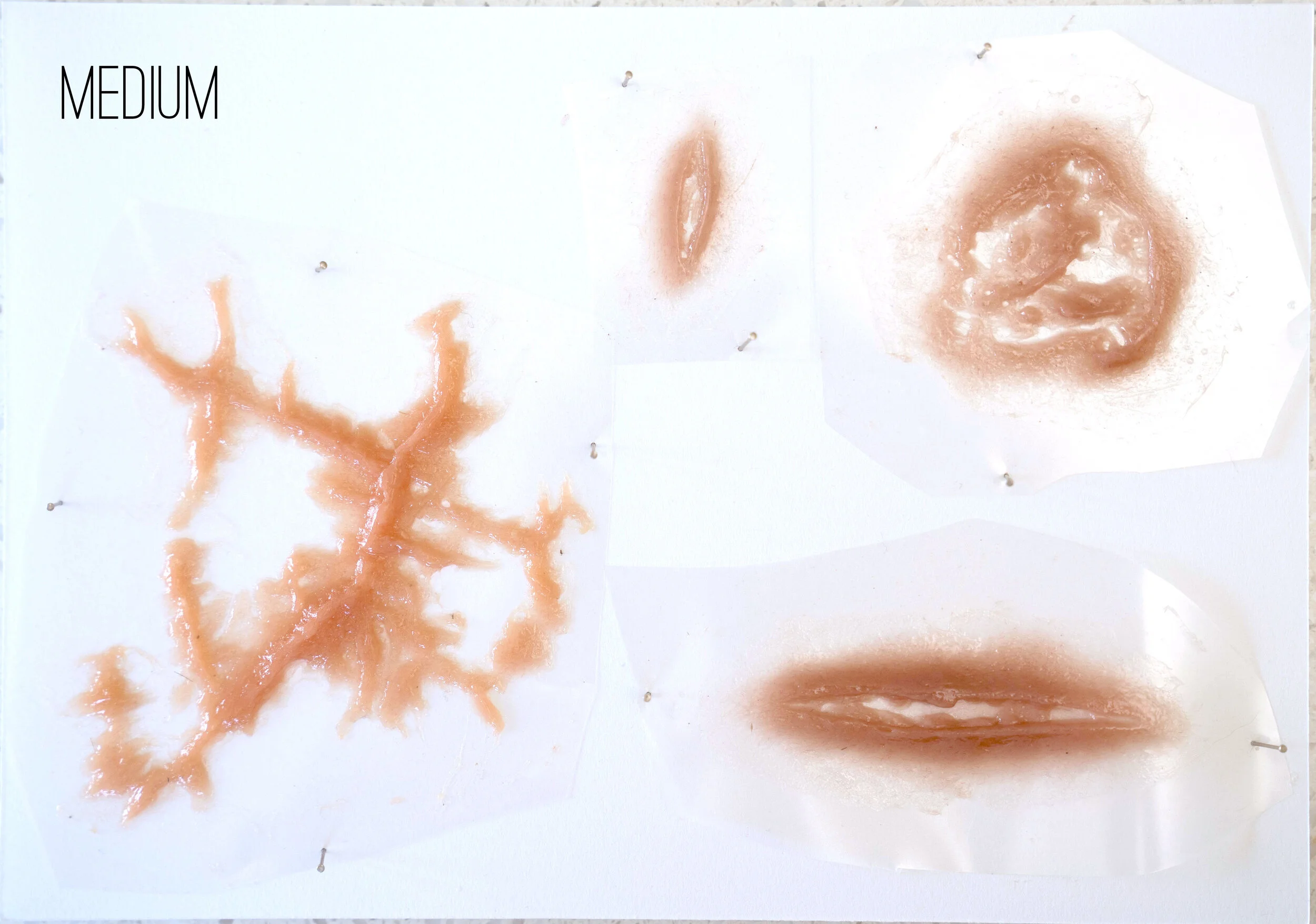 TAN PROSAIDE 2 now medium.jpg