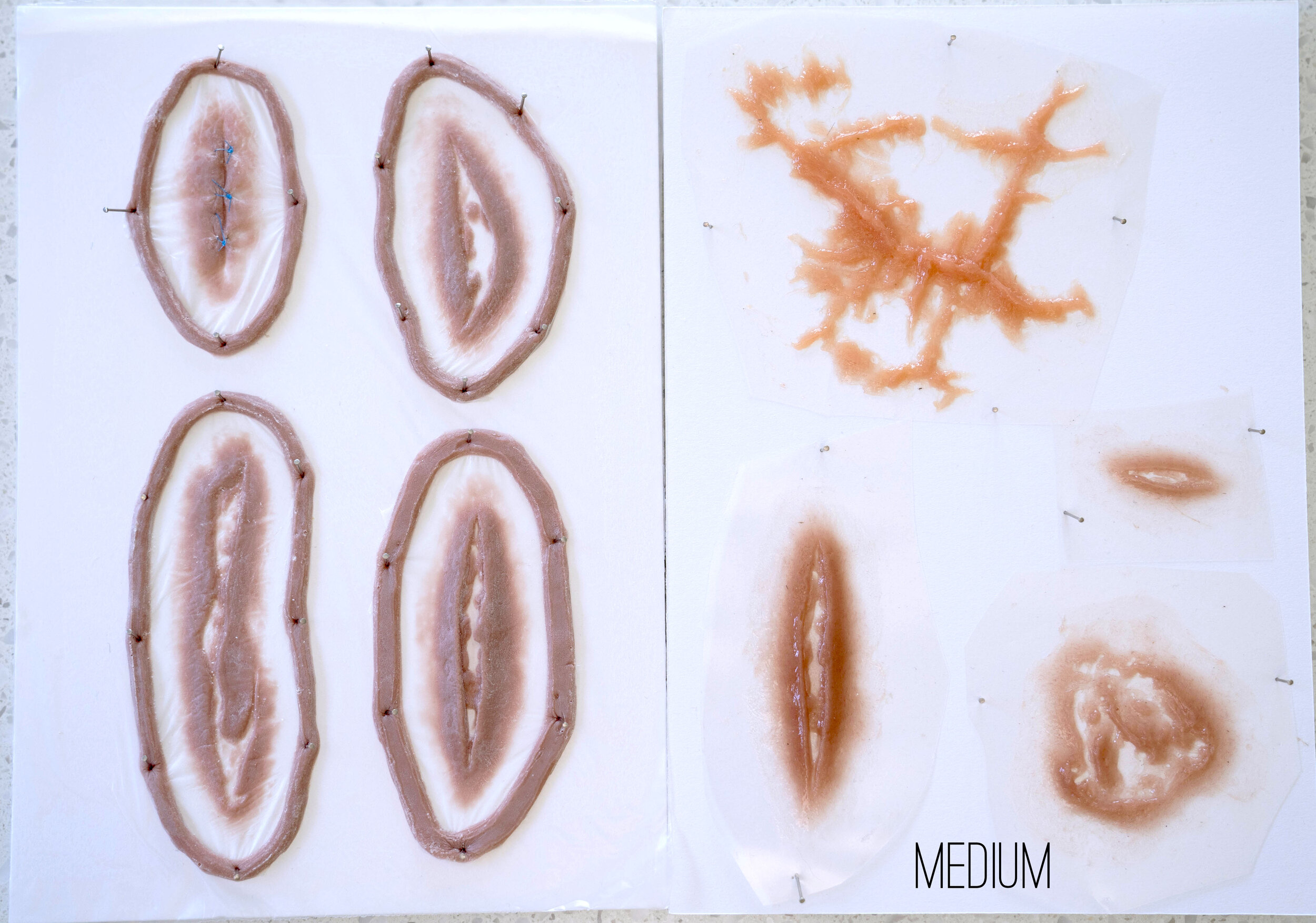 TAN KIT 2 now medium.jpg