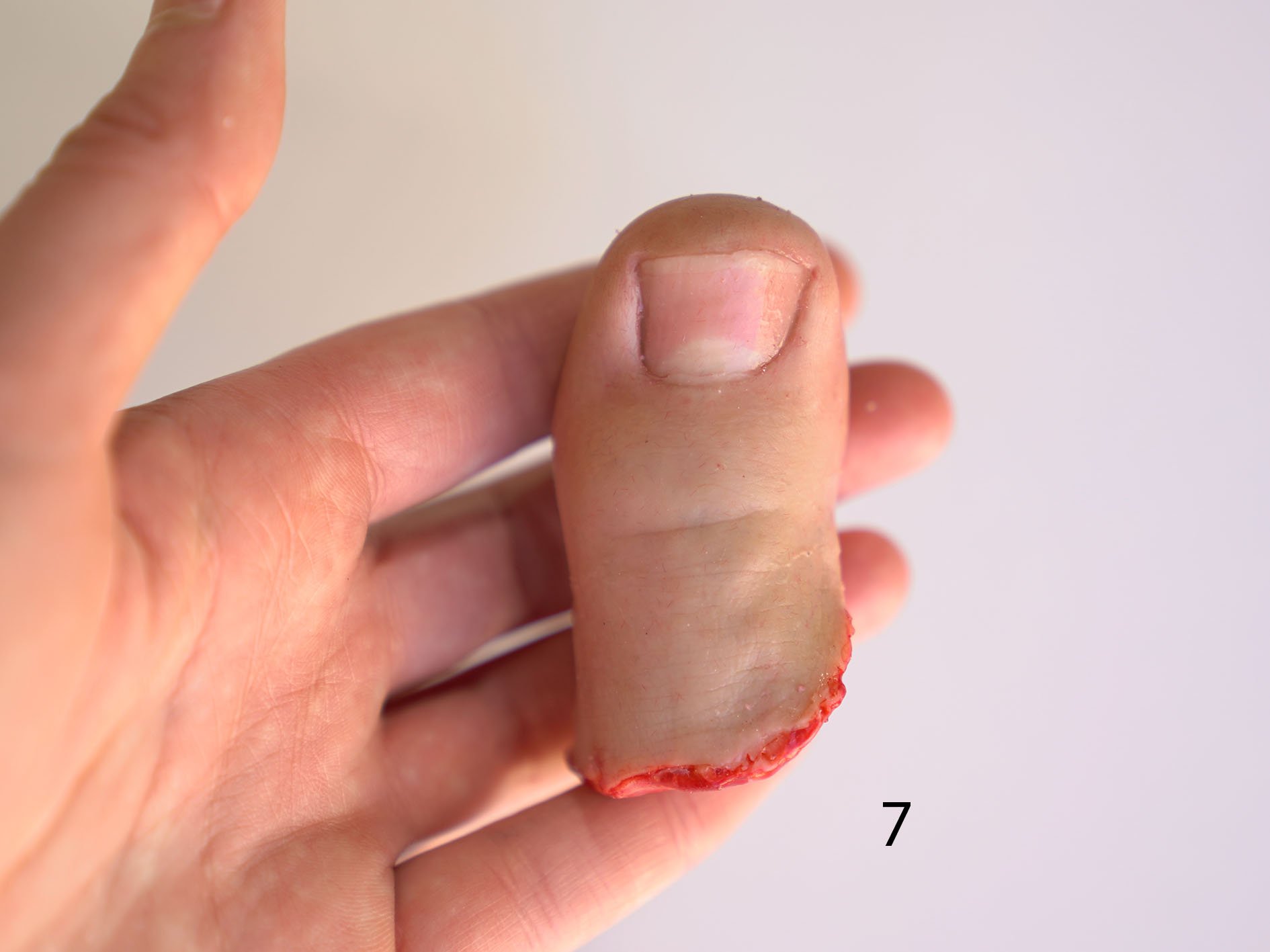 toe 7 2.jpg